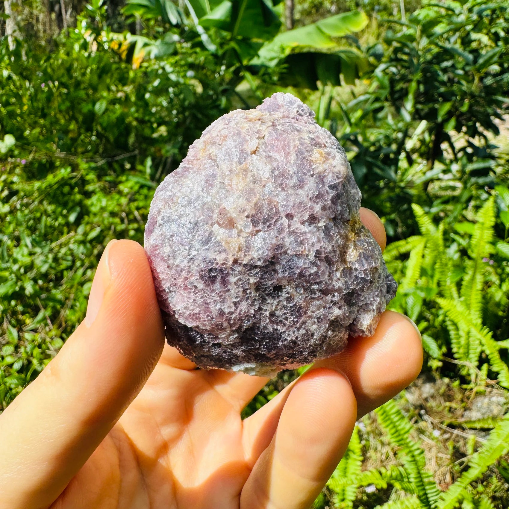 Full profile of Grade AA Lepidolite specimen ready to ship from Beyond Bohemian
