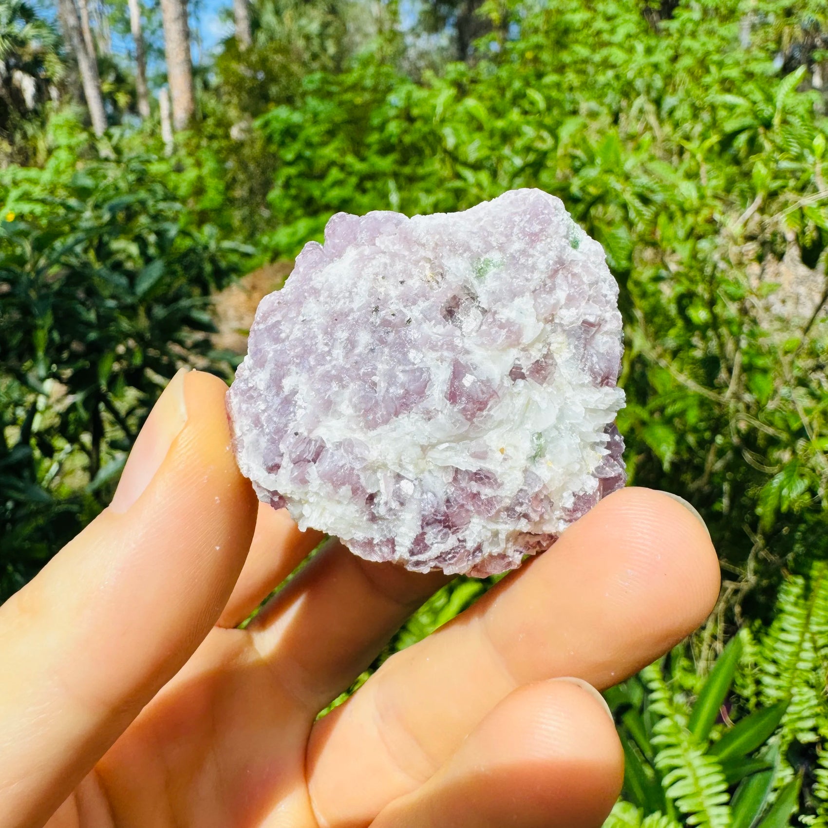 Hand-scale view of Lepidolite specimen, from Minas Gerais, Brazil, with subtle natural color showing through.