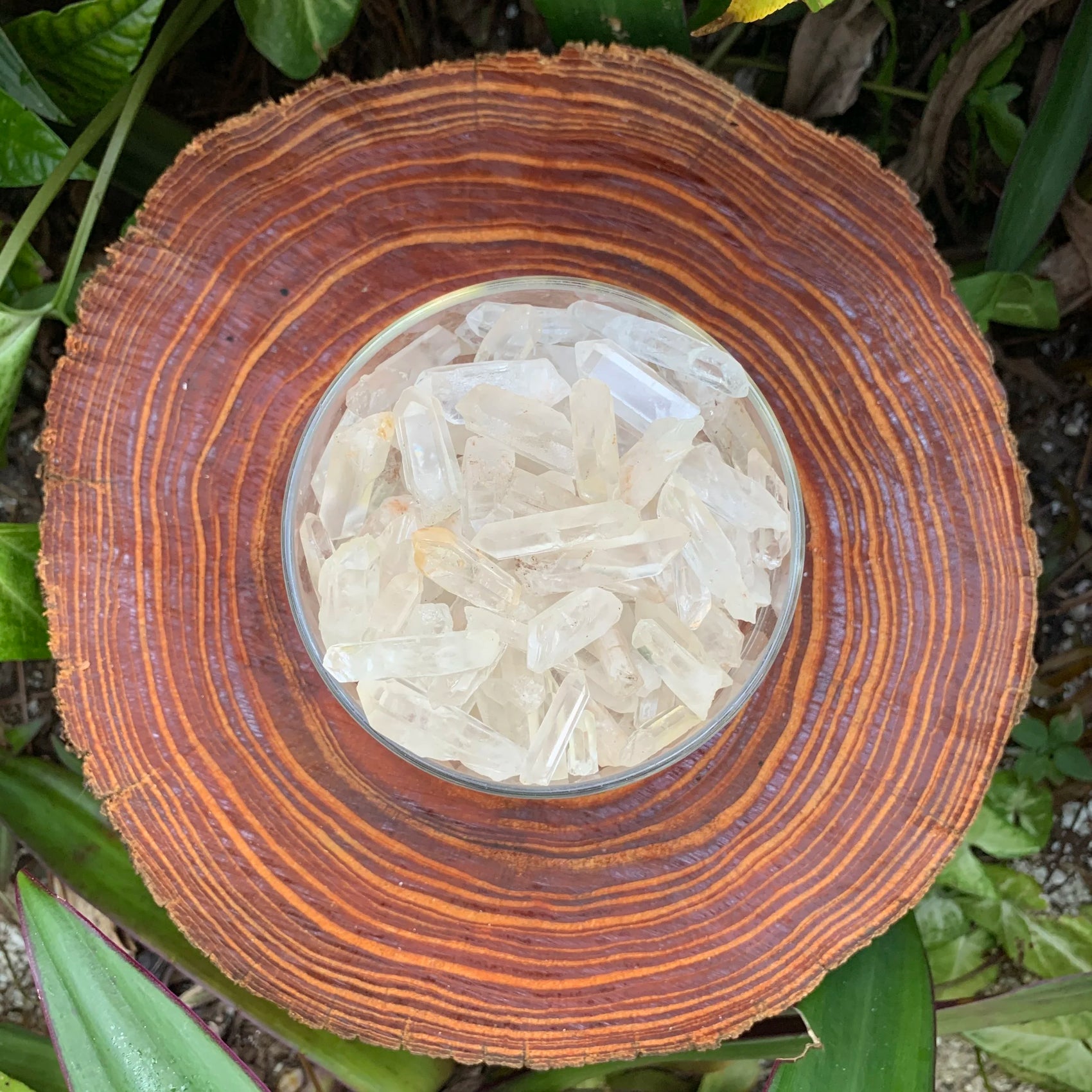 Top view of Grade A Clear Quartz point, sourced from Alaotra-Mangoro, Madagascar