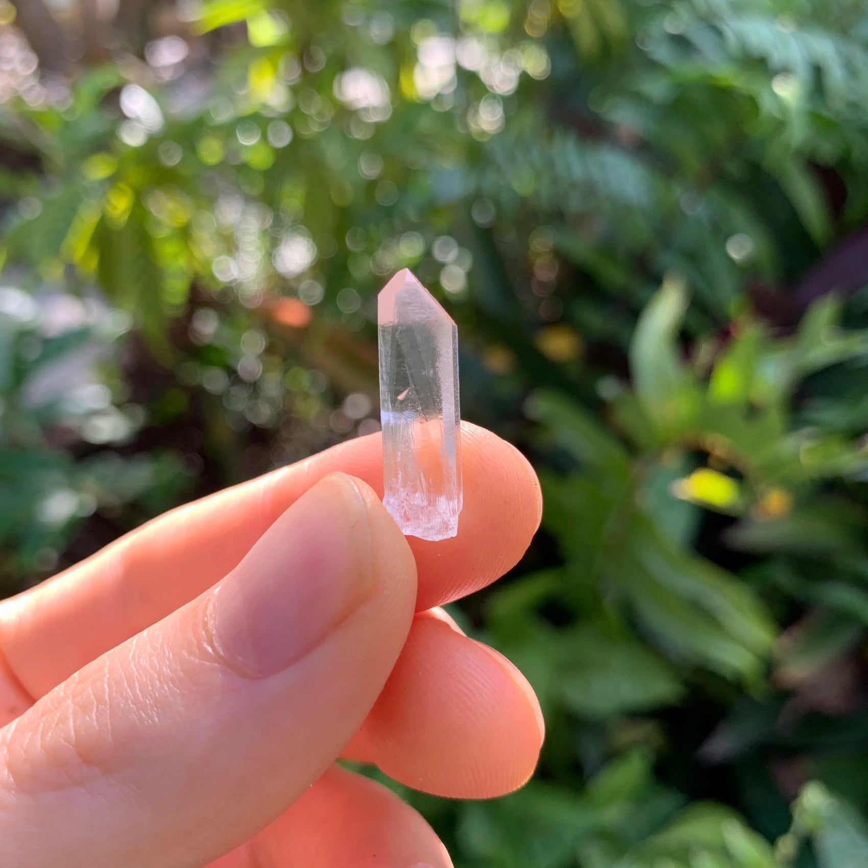 Detail shot of Grade A Clear Quartz point under natural light