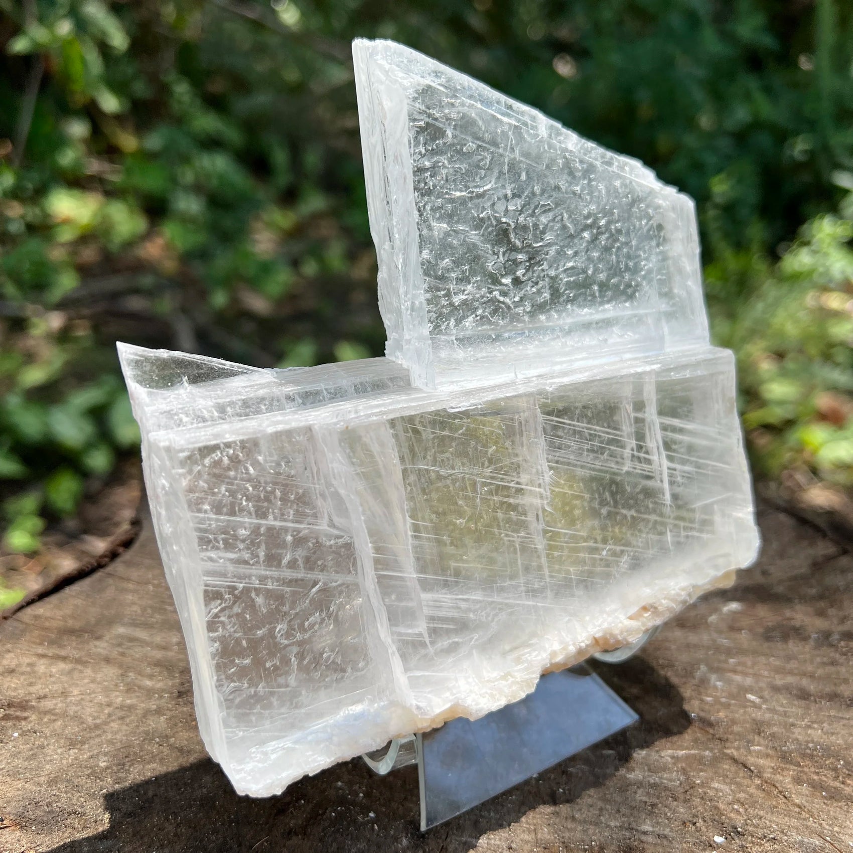 Detail capture of Grade AAA Selenite specimen, showing characteristic color, United States-sourced.