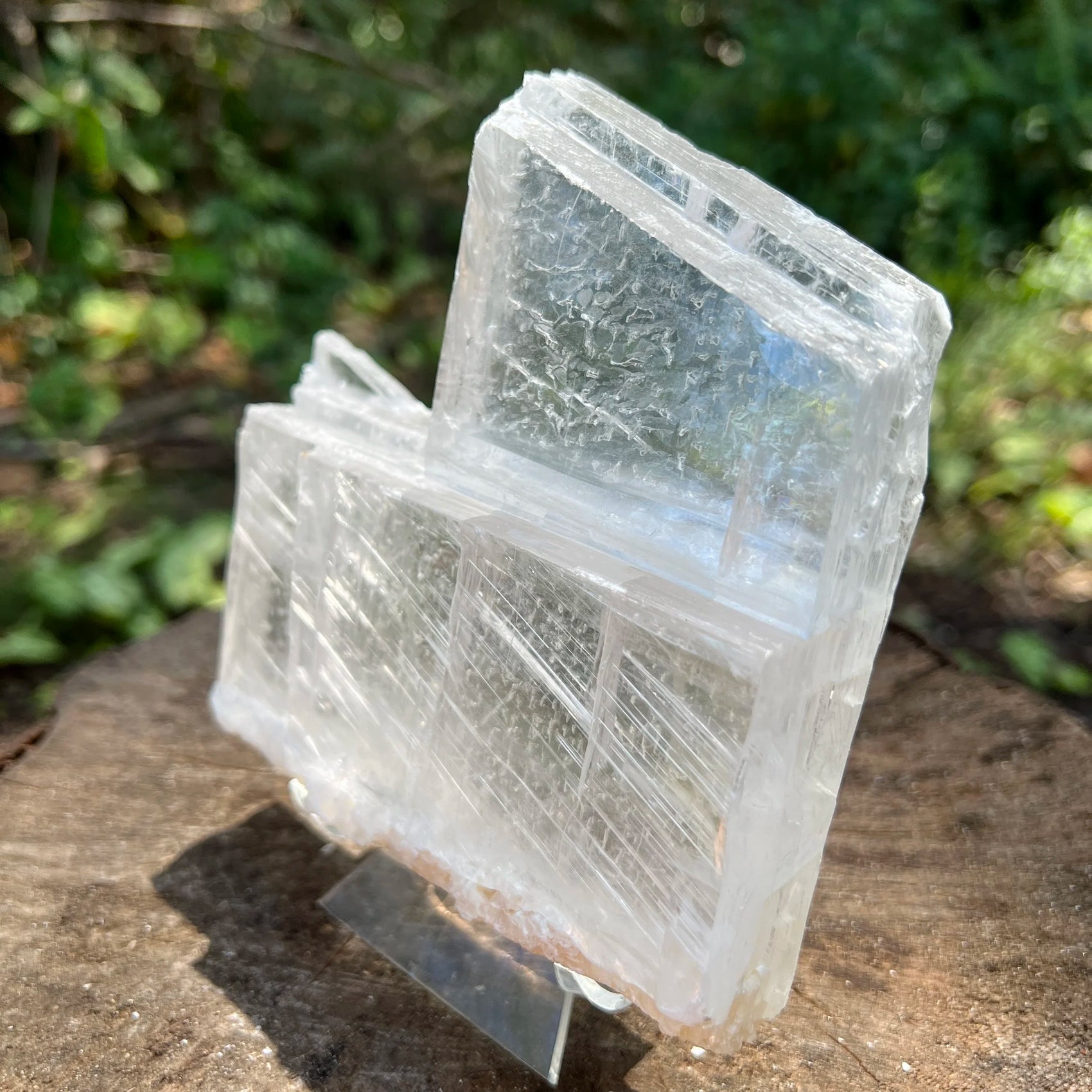 Side-on view of Selenite specimen, showing open form, sourced from New Mexico, USA.
