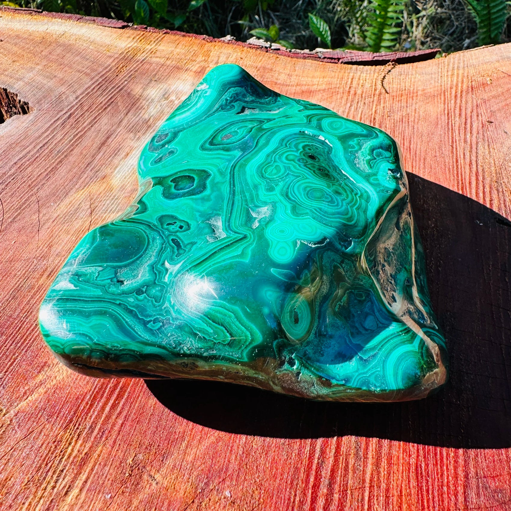Holding a Malachite specimen, associated with Emotional Healing, with depth visible across the surface.