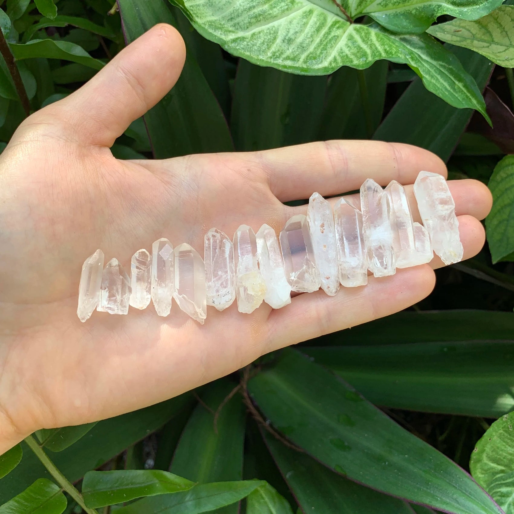 Full profile of Grade A Clear Quartz point ready to ship from Beyond Bohemian