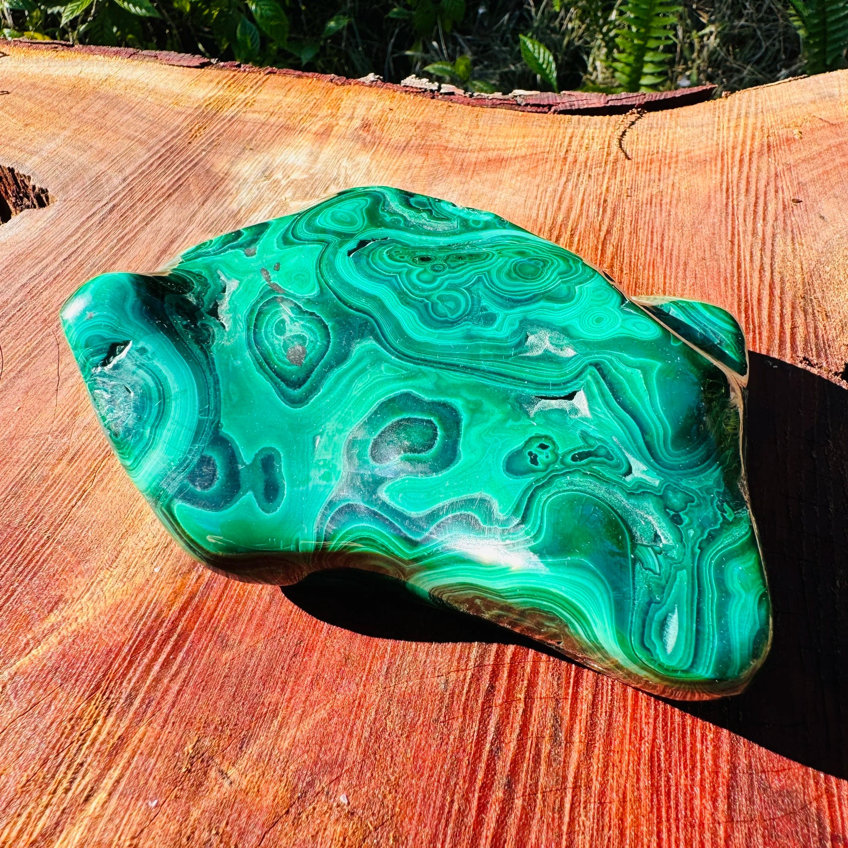 Detail shot of Grade AA Malachite specimen under natural light