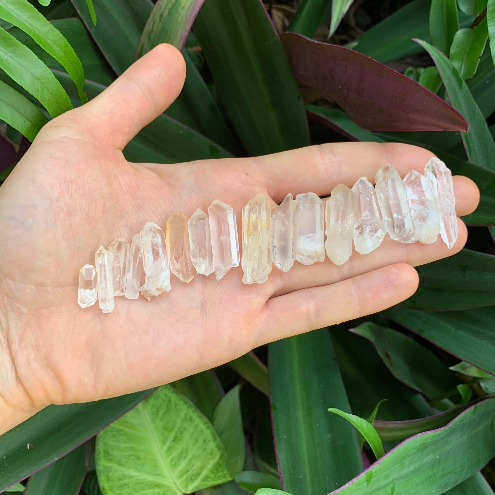 Full profile of Grade A Clear Quartz point ready to ship from Beyond Bohemian