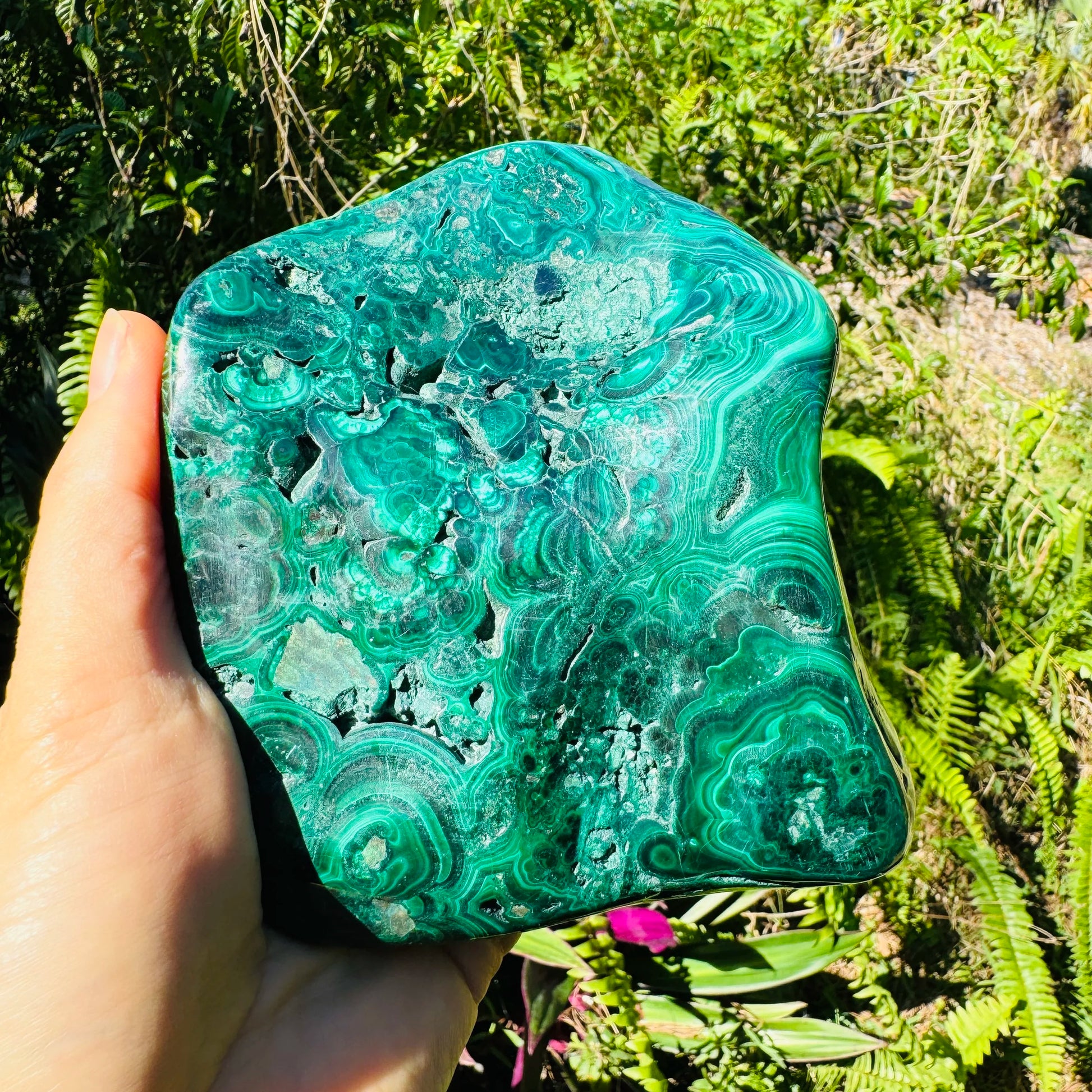 Back view of Malachite specimen, often kept for Emotional Healing, from Haut-Katanga, Democratic Republic of the Congo.