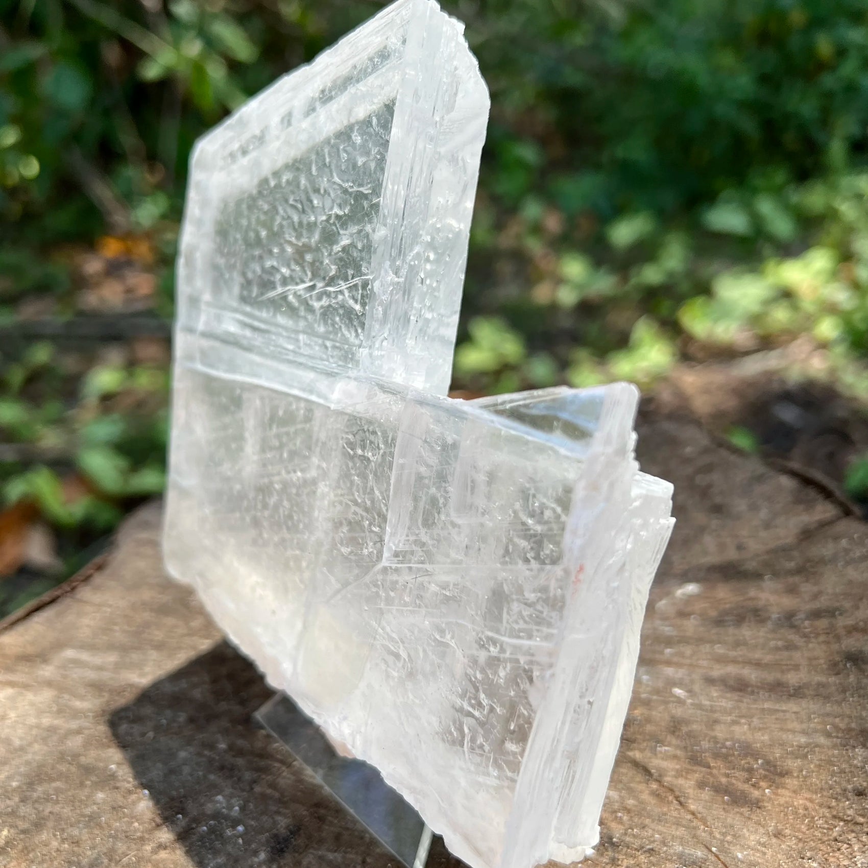 Rear view of Selenite specimen, from United States.