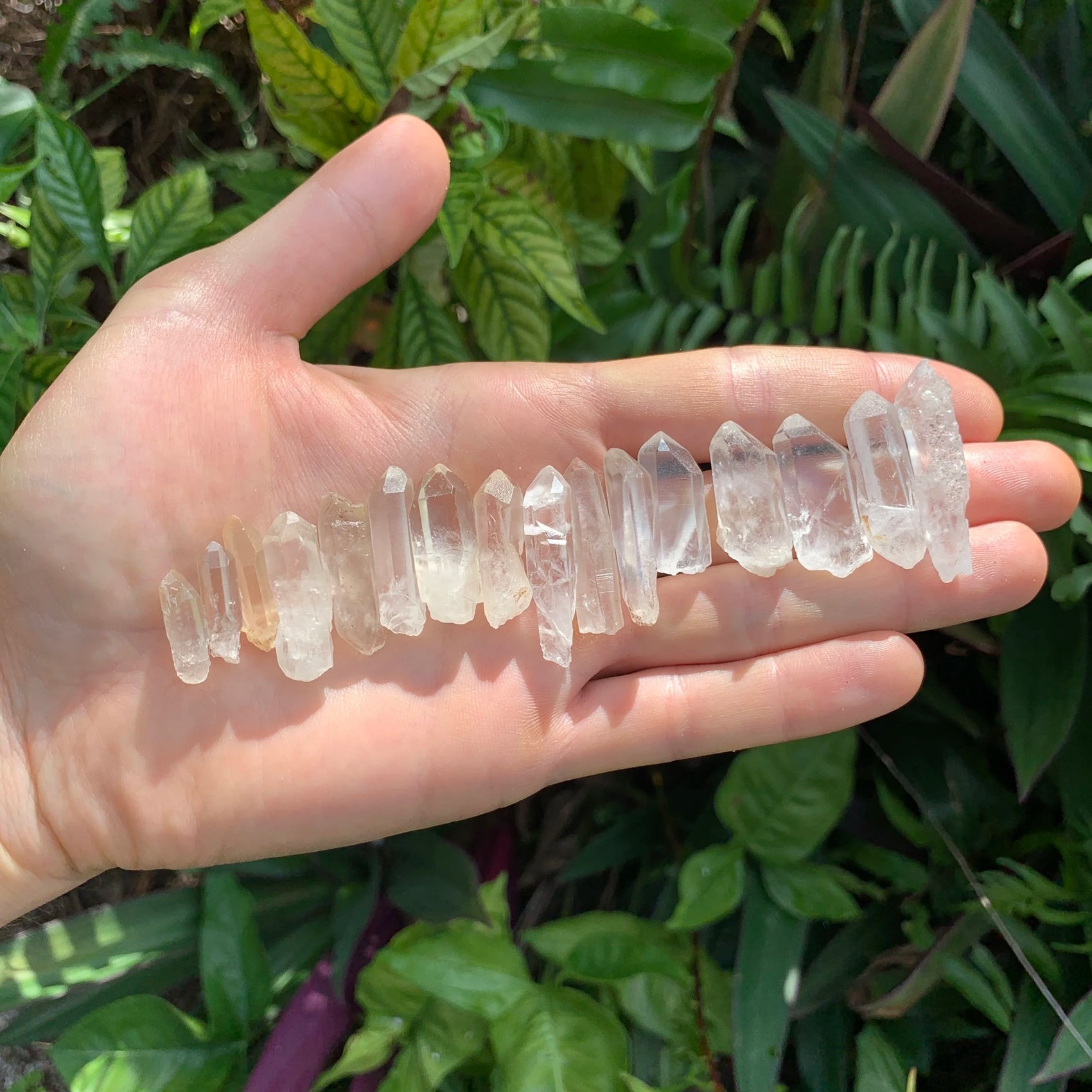 Full profile of Grade A Clear Quartz point ready to ship from Beyond Bohemian