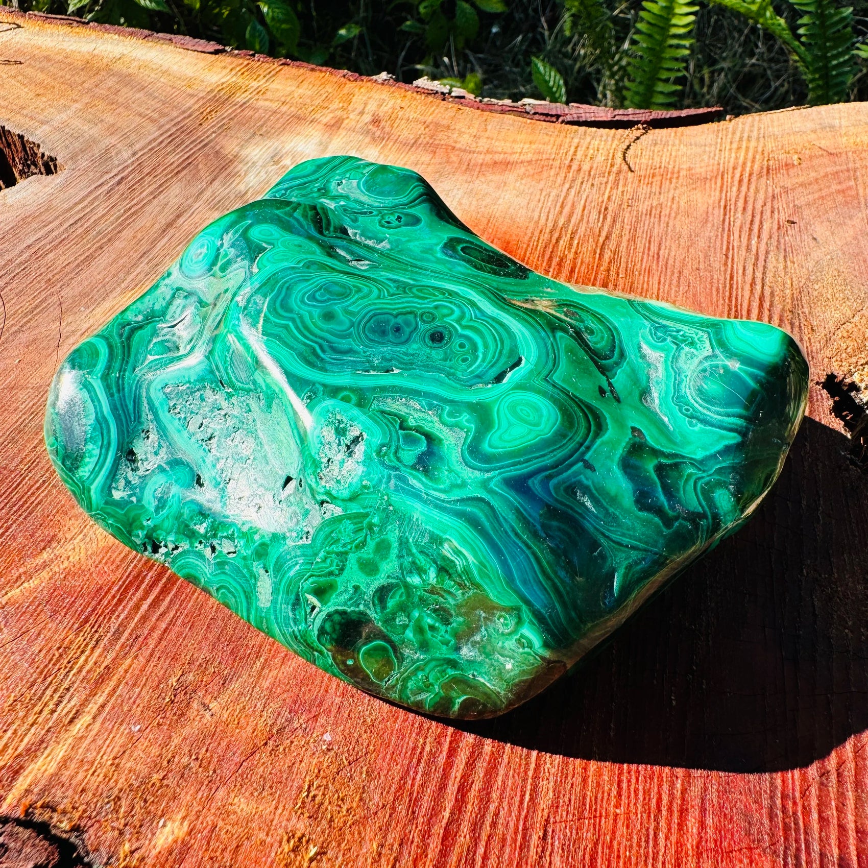 Back view of Grade AA Malachite specimen showing natural surface