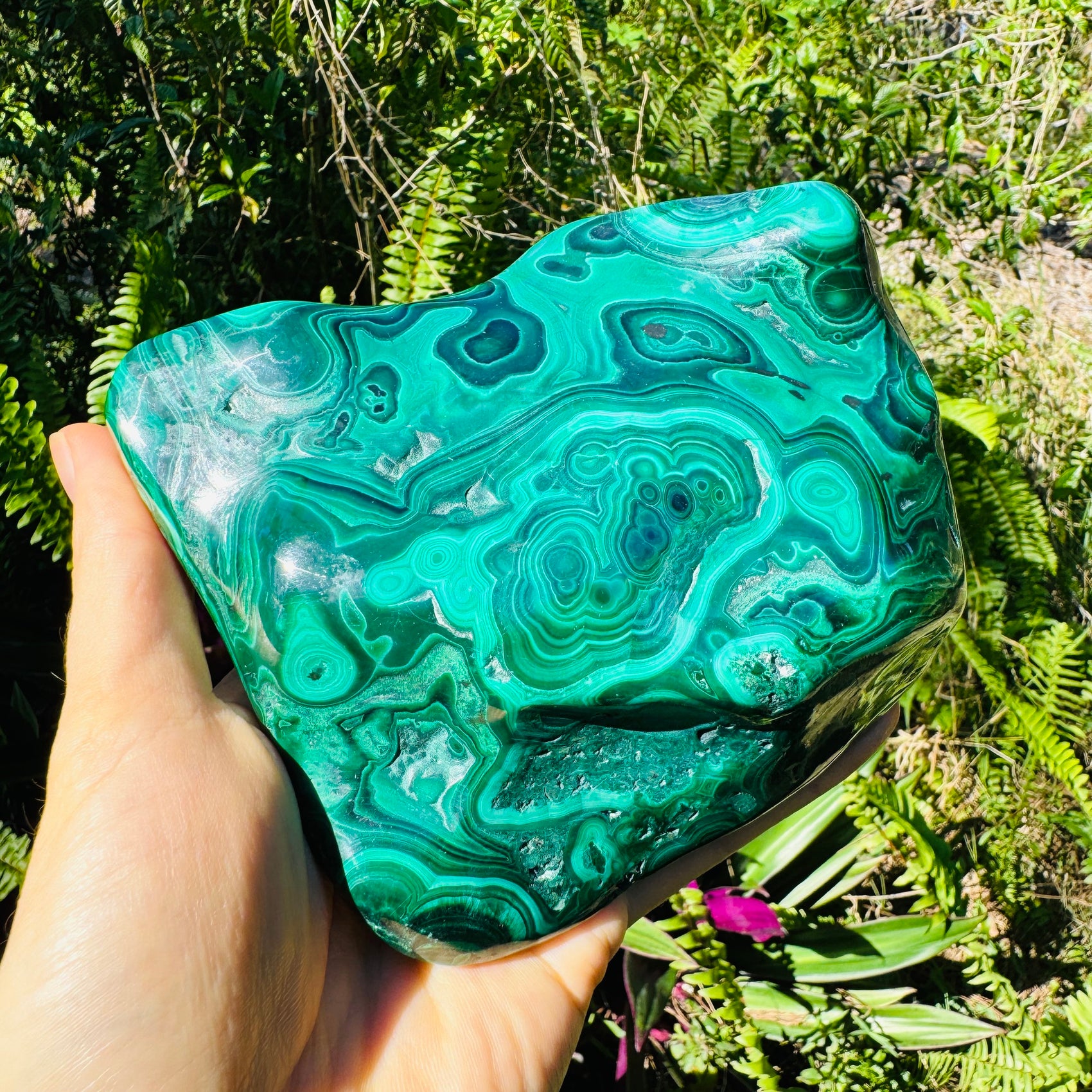 Side-on view of green Malachite specimen, showing natural sheen, hand-selected from Haut-Katanga, Democratic Republic of the Congo.