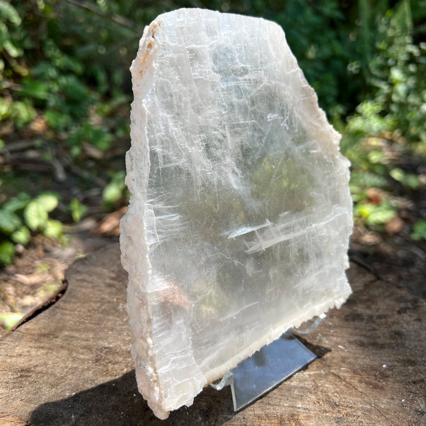 Close-up of Selenite specimen, hand-selected from New Mexico, USA, showing honest grain.