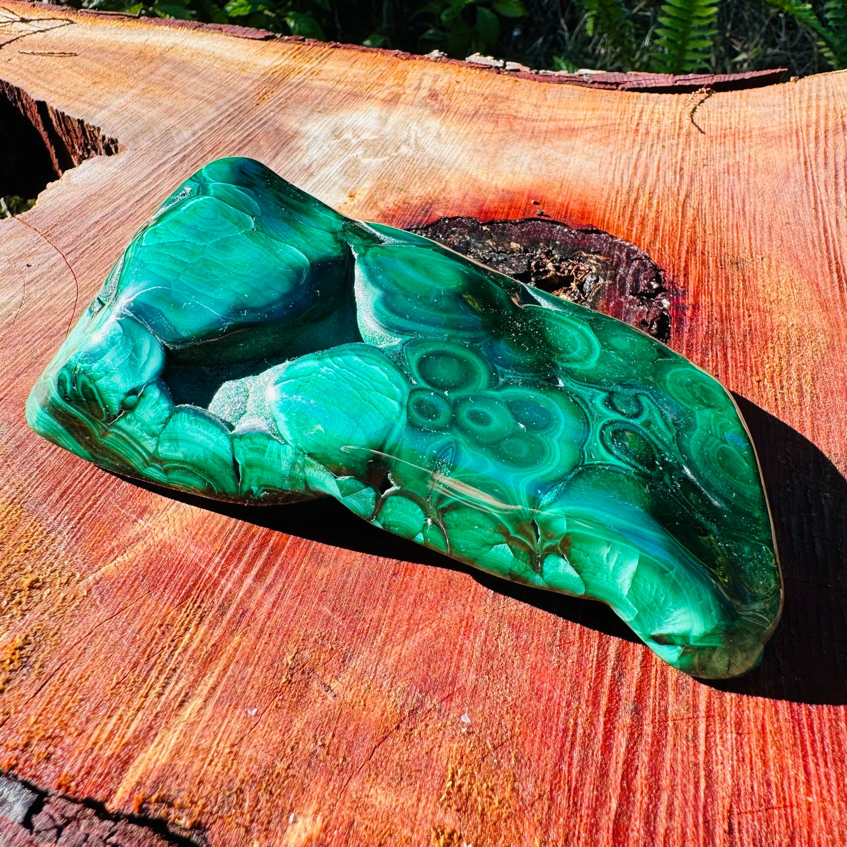 Full profile of Grade AA Malachite specimen ready to ship from Beyond Bohemian