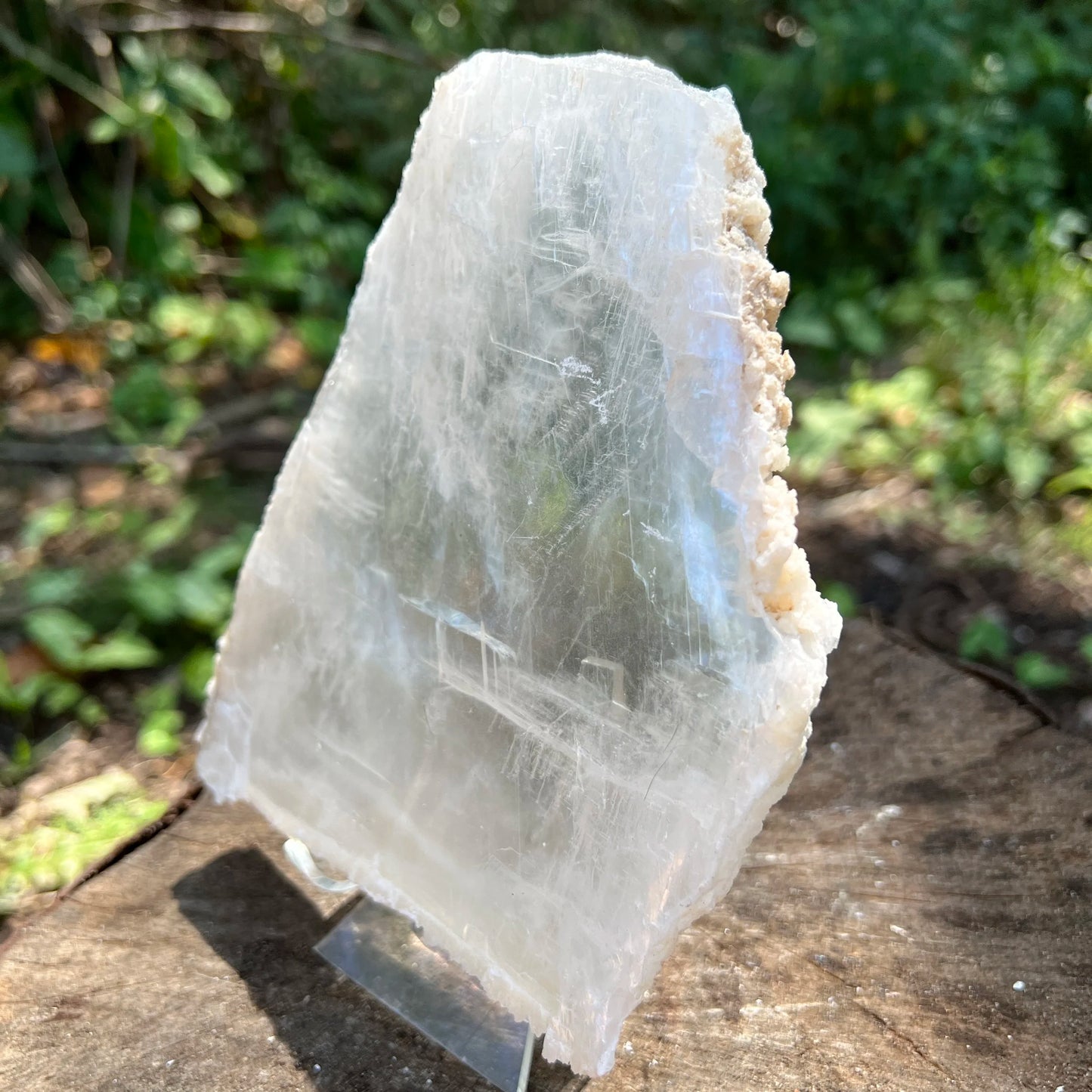 Edge-on view of white Selenite specimen, sourced from New Mexico, USA.