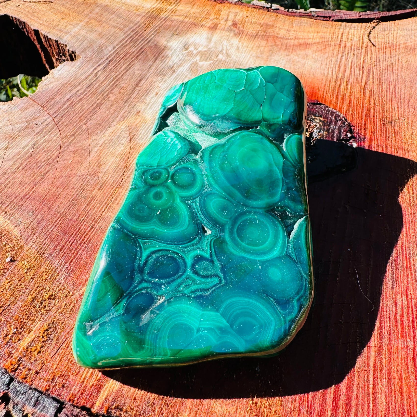 Full profile of Grade AA Malachite specimen ready to ship from Beyond Bohemian
