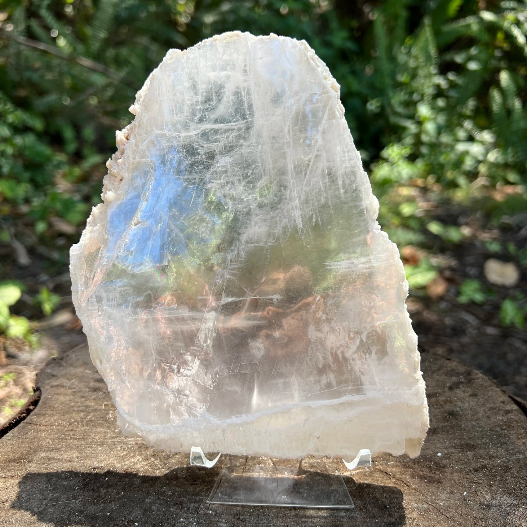 Top view of Selenite specimen, kept near for Cleansing and Meditation, sourced from New Mexico, USA.