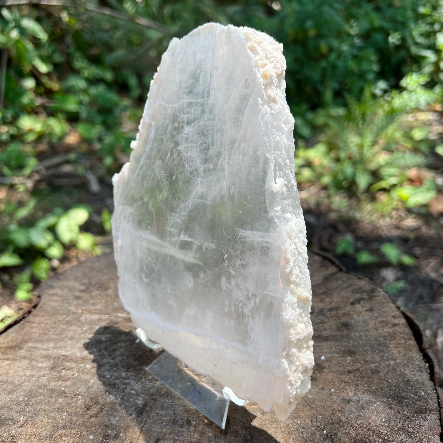 Opposite side of Selenite specimen, sourced from New Mexico, USA, showing characteristic patterning.