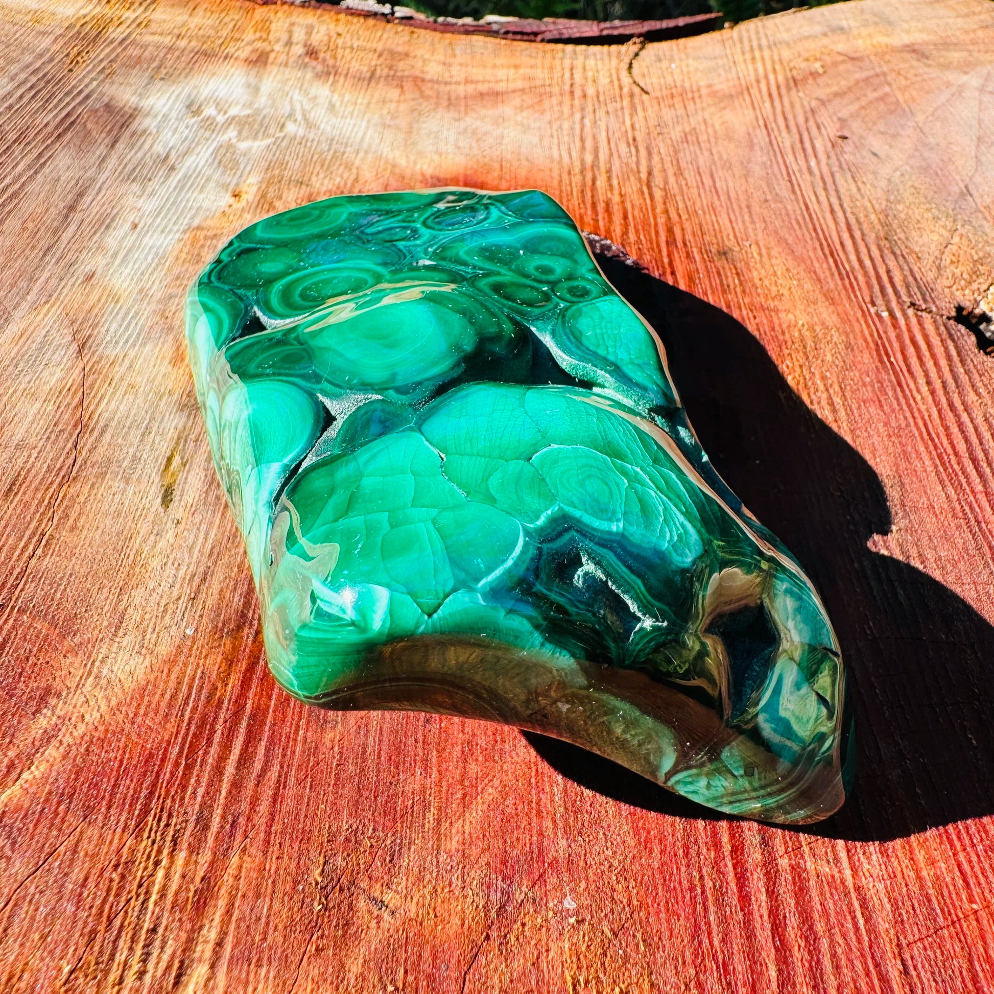 Back view of Grade AA Malachite specimen showing natural surface