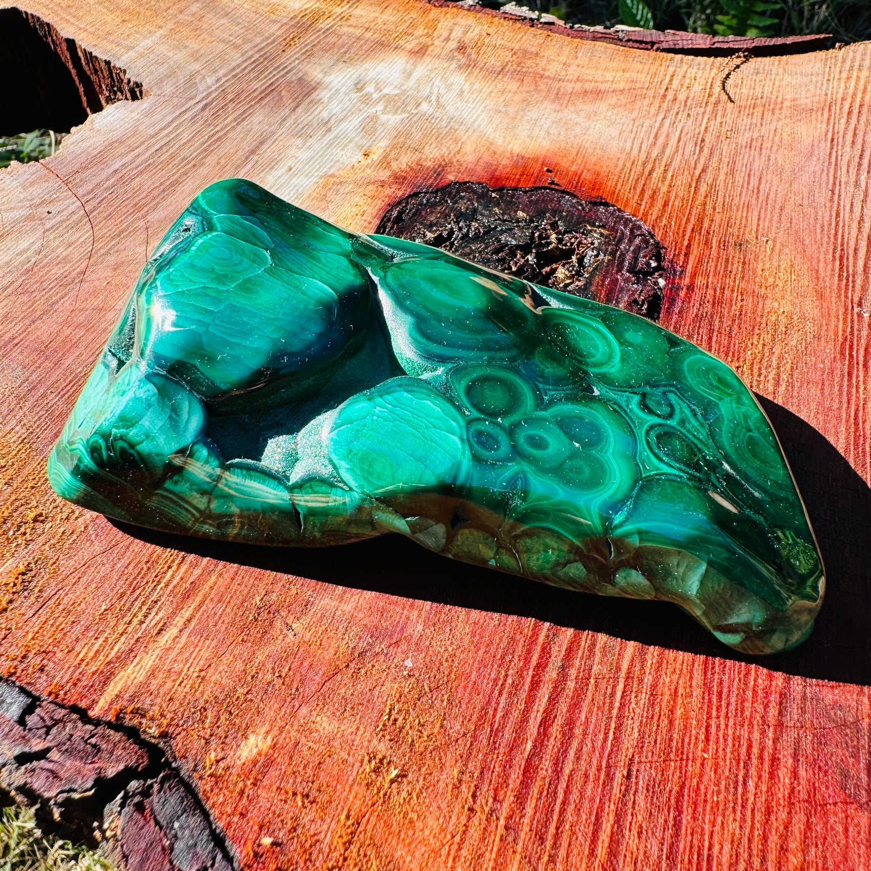 Studio-style view of Malachite specimen, from Haut-Katanga, Democratic Republic of the Congo, often kept for Protection, with surface texture in view.