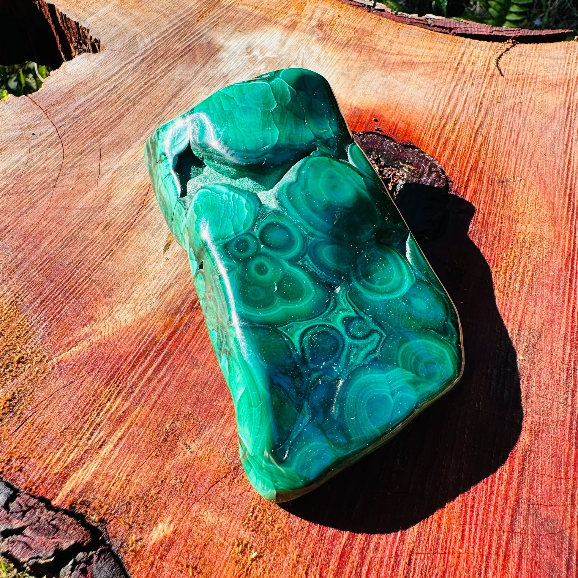 Size comparison with one Malachite specimen for scale, sourced from Haut-Katanga, Democratic Republic of the Congo.
