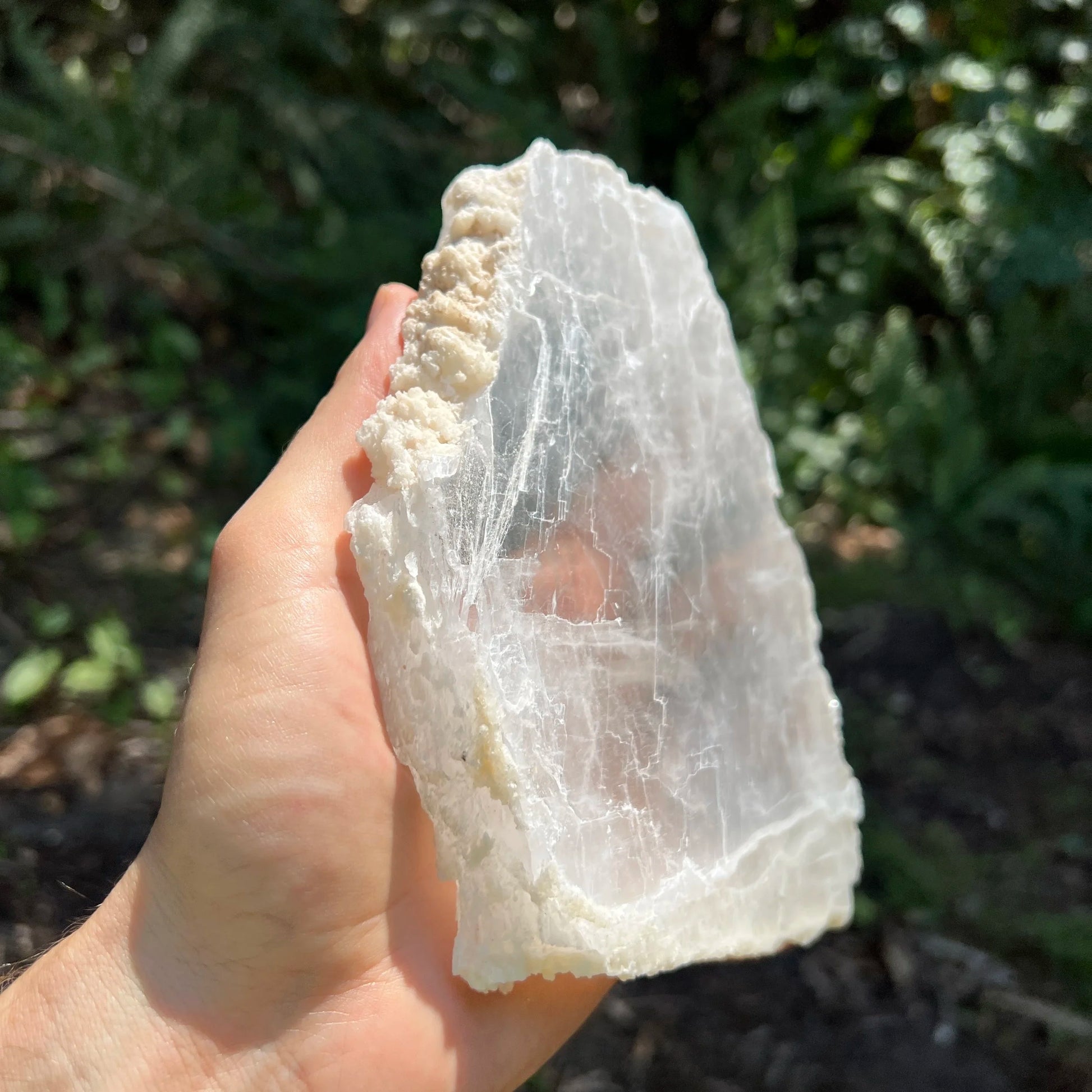 Back view of Grade AAA Selenite slab showing natural surface