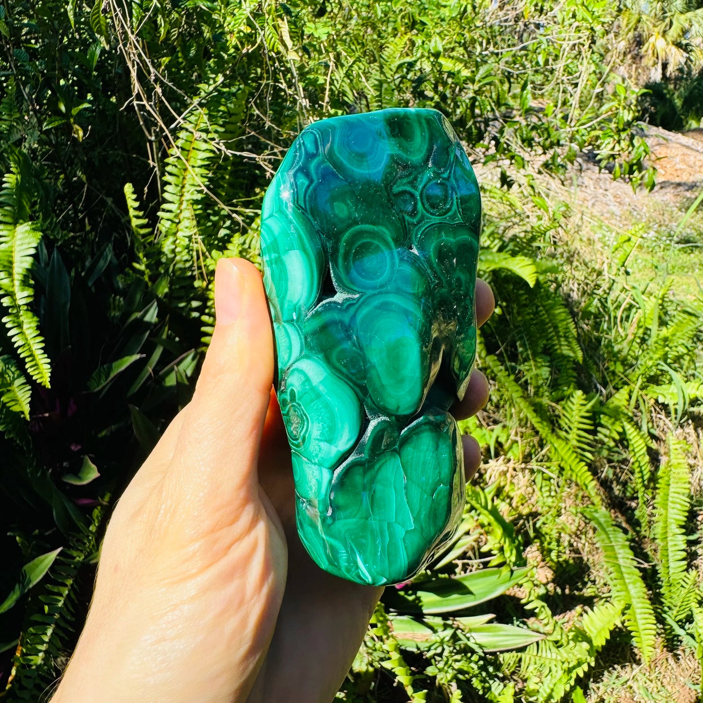 Top view of Grade AA green Malachite specimen, often worked with for Emotional Healing.