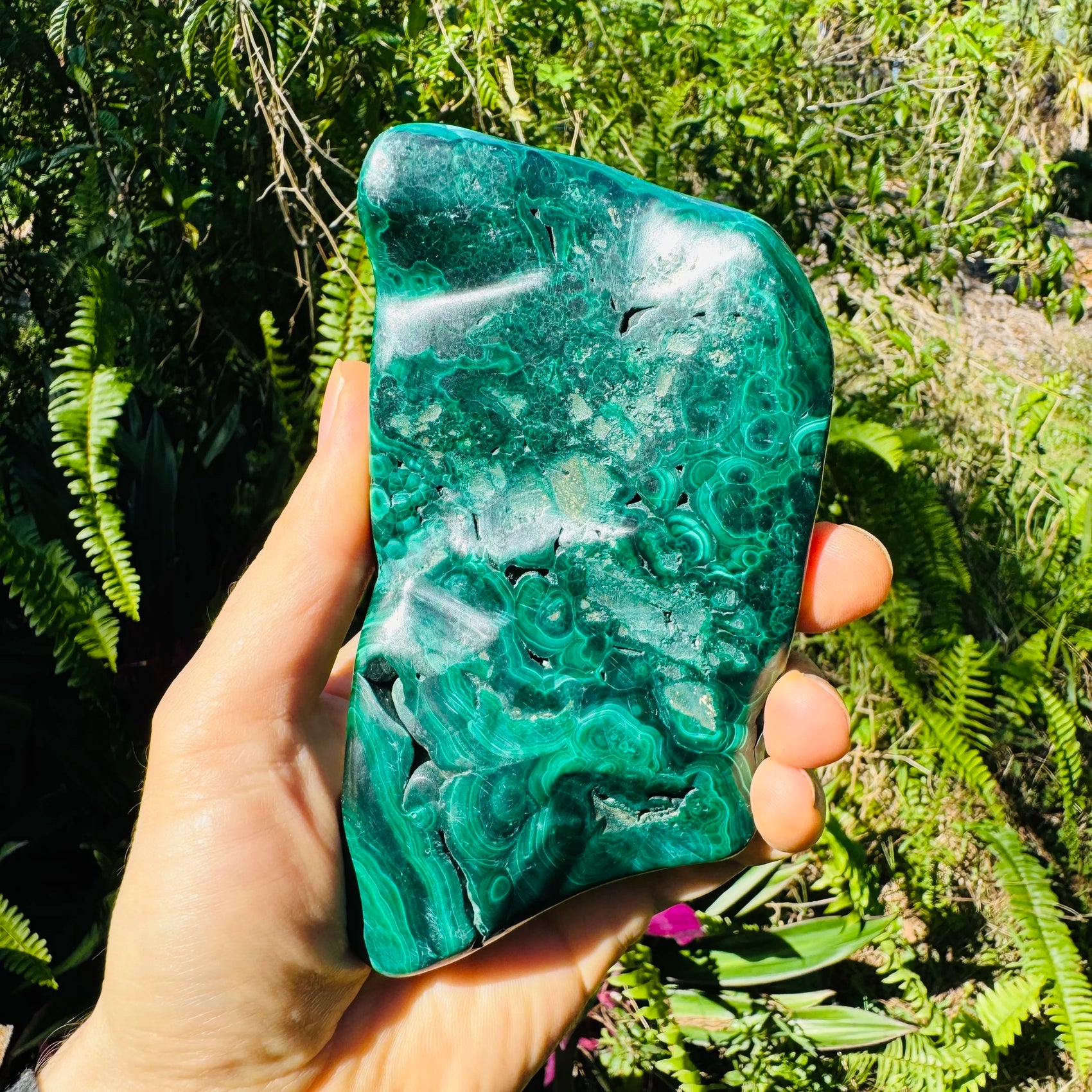 Grain detail of green Malachite specimen, from Haut-Katanga, Democratic Republic of the Congo, showing subtle veining.