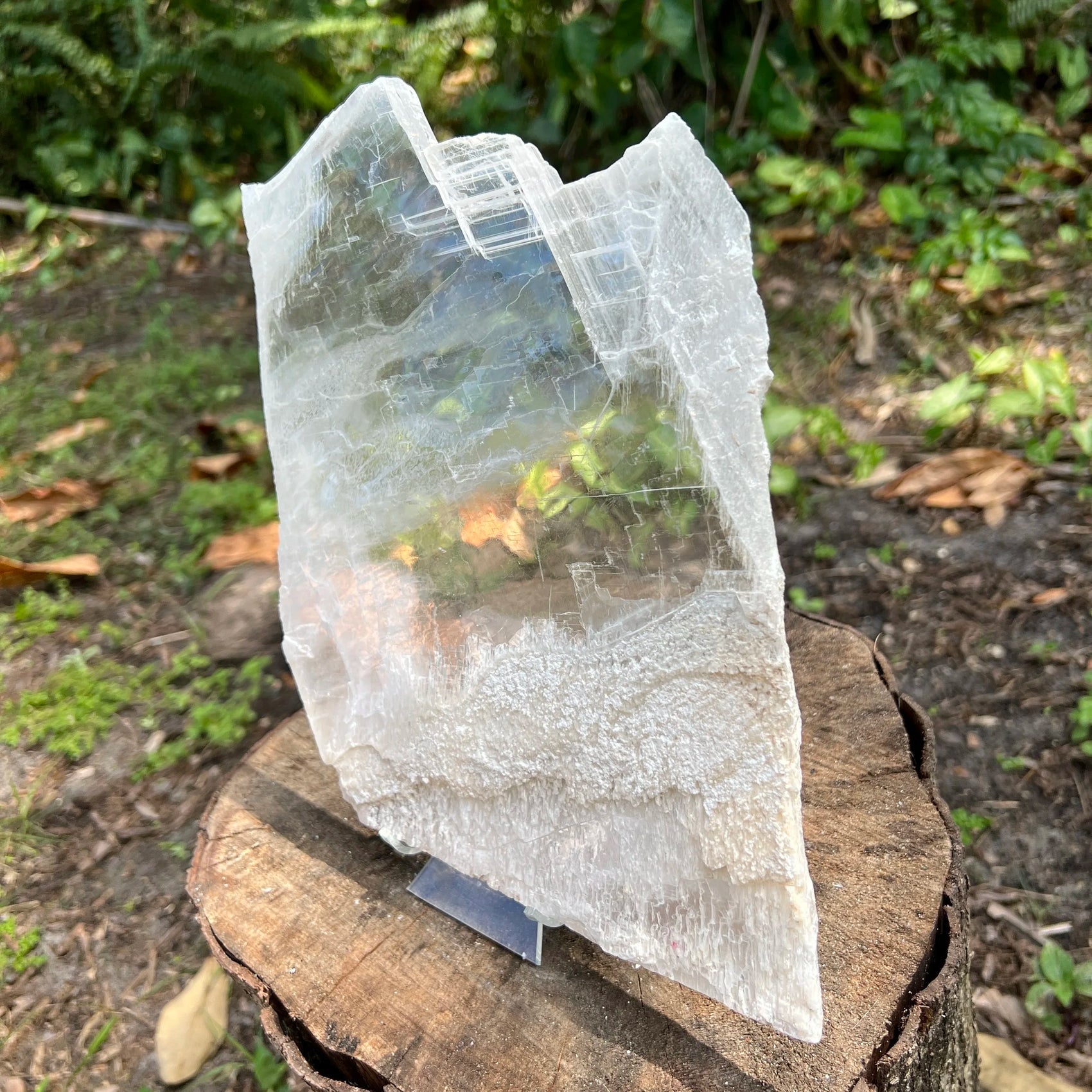 Profile view of Grade AAA Selenite specimen, from United States.