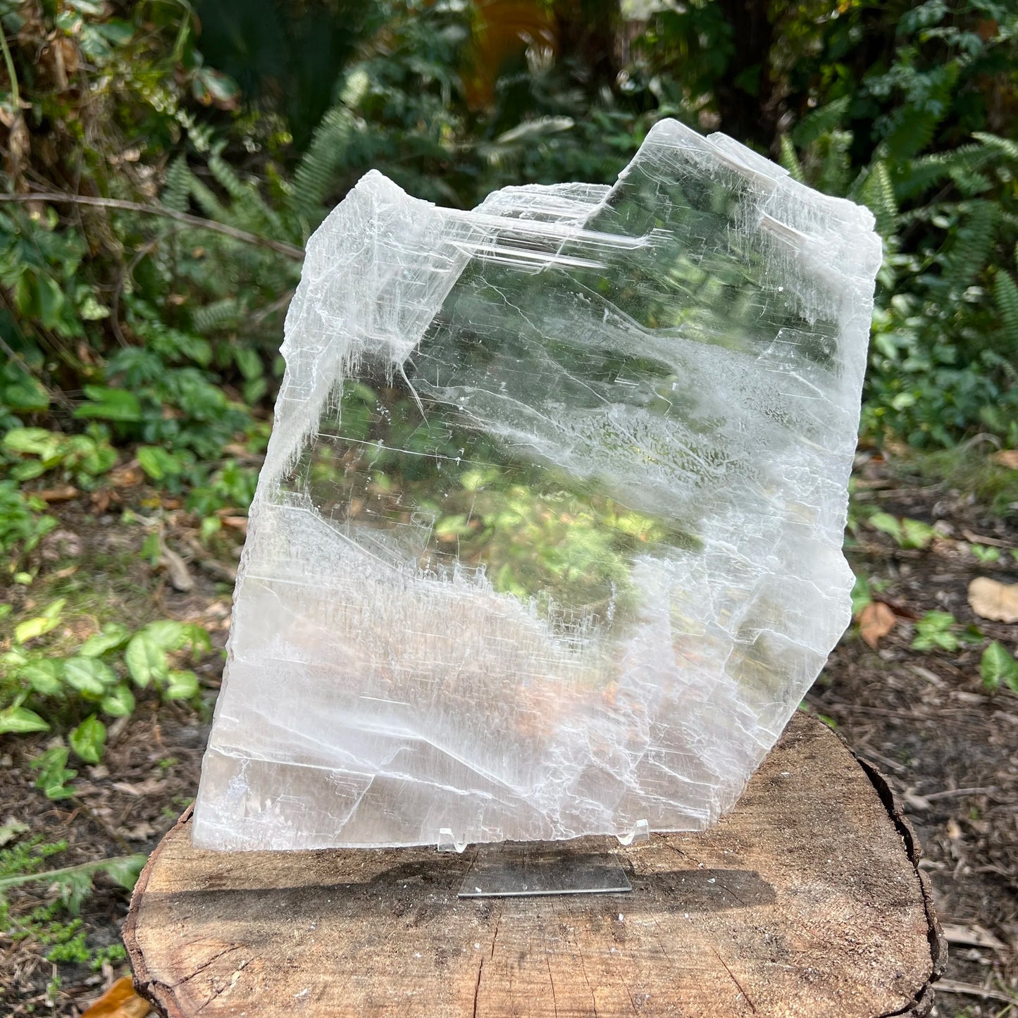 Overhead view of Selenite specimen, showing natural form, associated with Cleansing and Meditation.