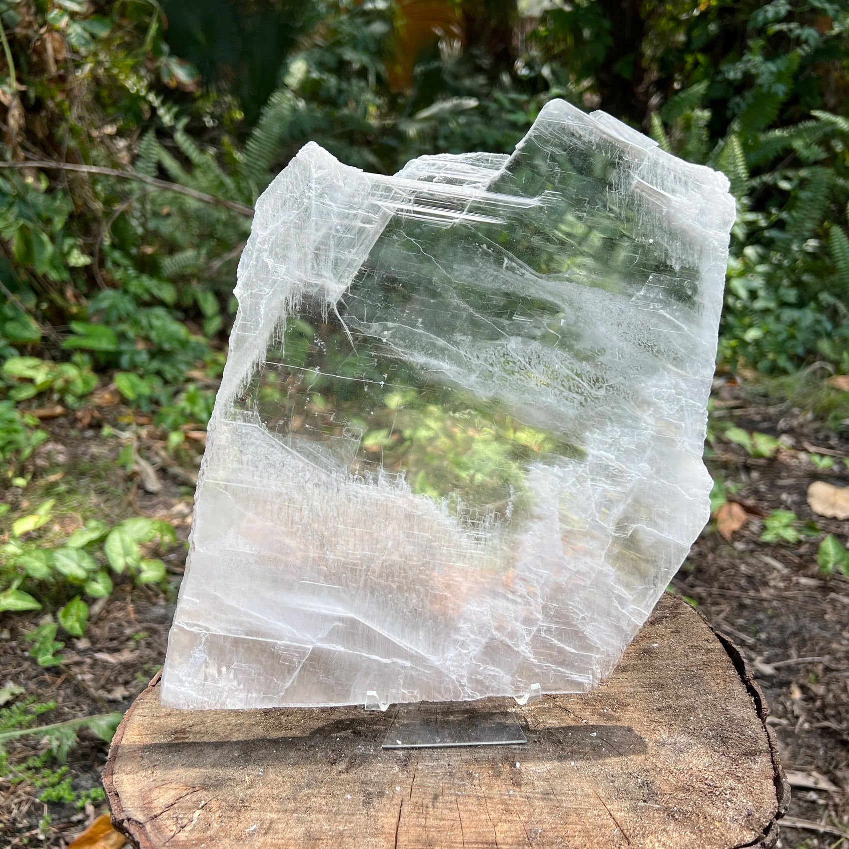 Overhead view of Selenite specimen, showing natural form, associated with Cleansing and Meditation.