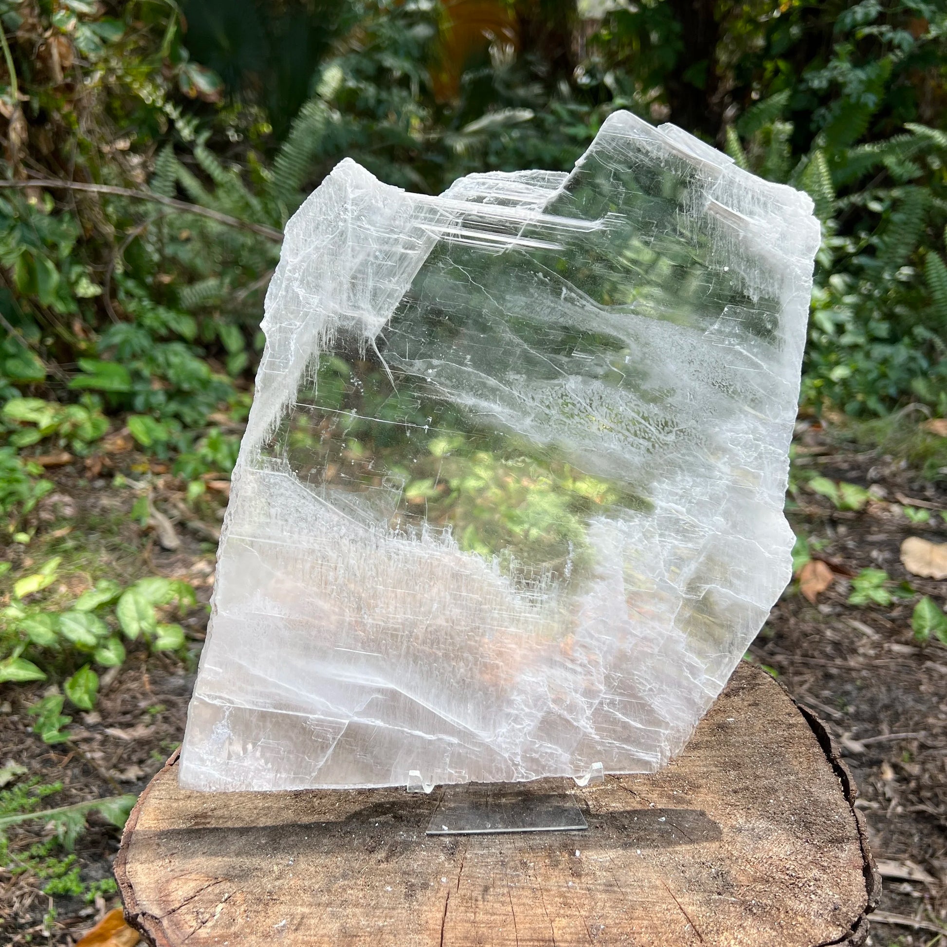 Overhead view of Selenite specimen, showing natural form, associated with Cleansing and Meditation.