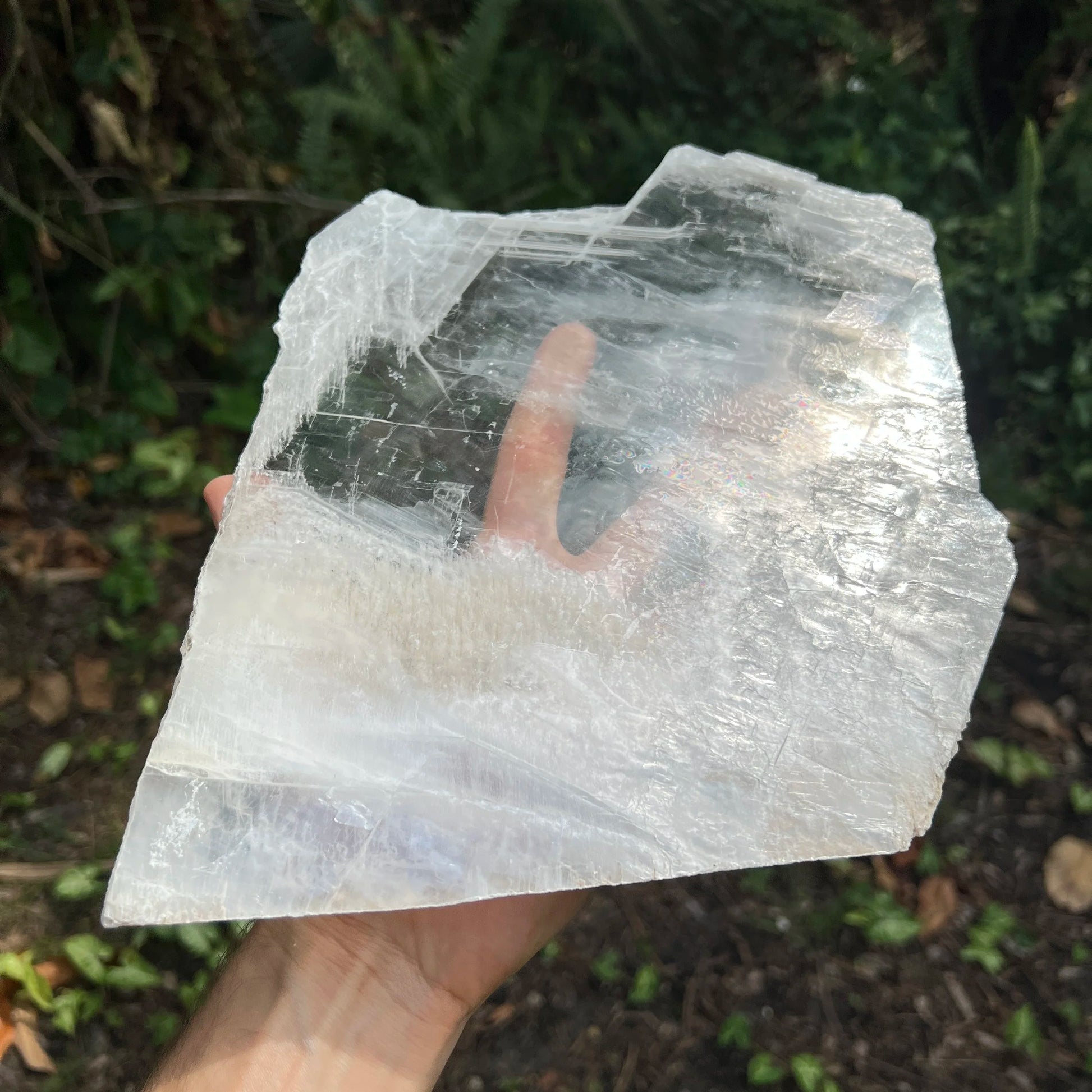 Hand-held view of a Selenite specimen held against natural backdrop.