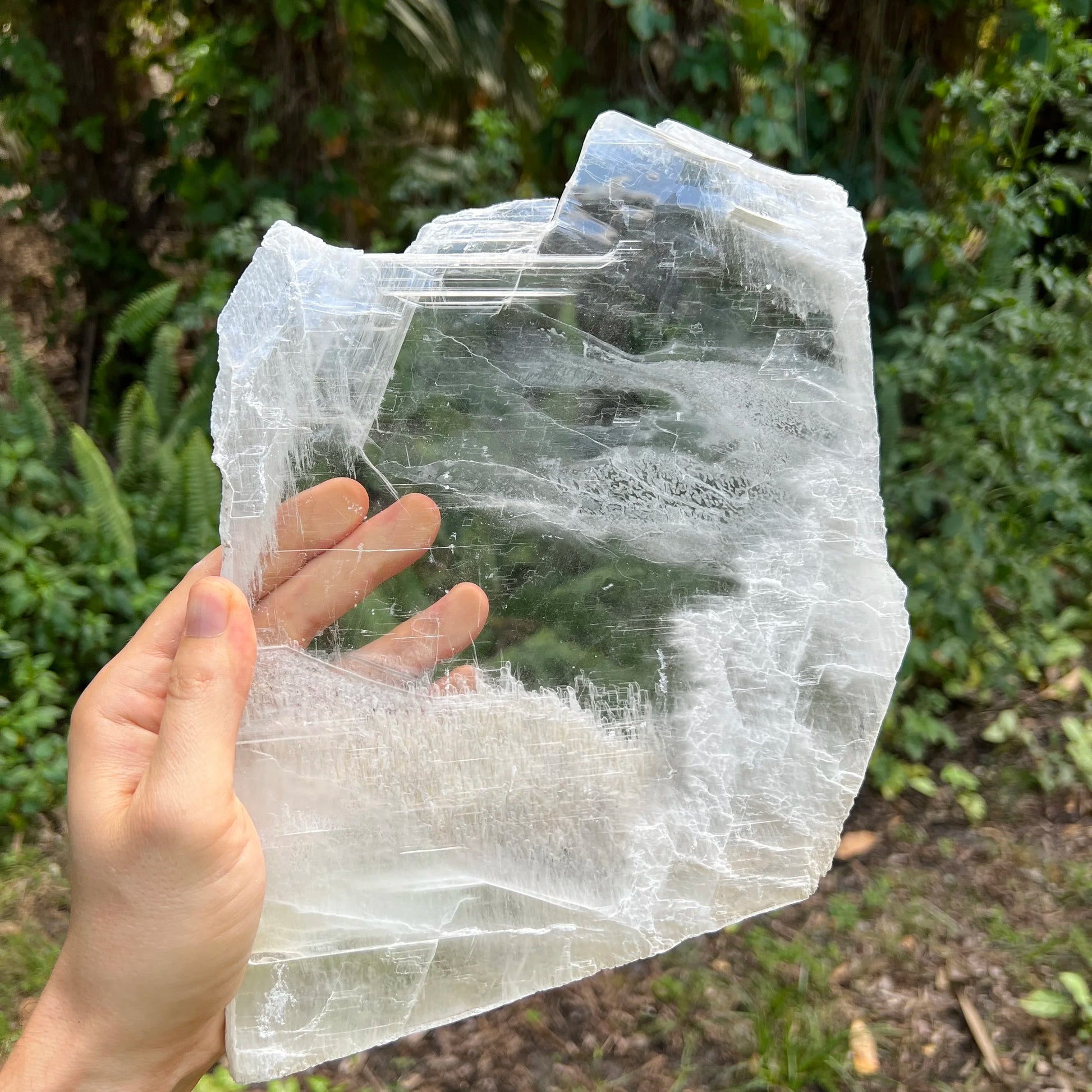 Holding a Selenite specimen, from New Mexico, Usa, traditionally used for Meditation, showing the wear and finish.