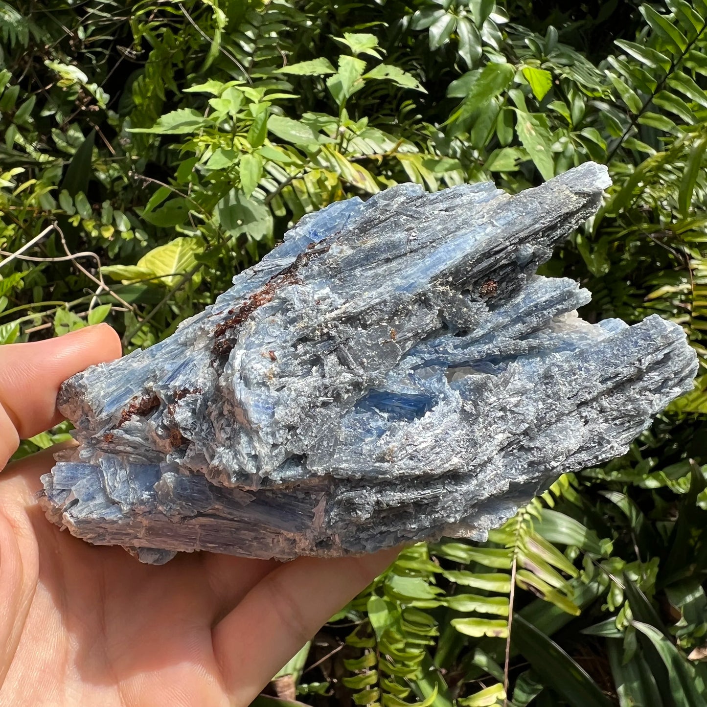 In-hand view of a Blue Kyanite specimen, from Brazil.