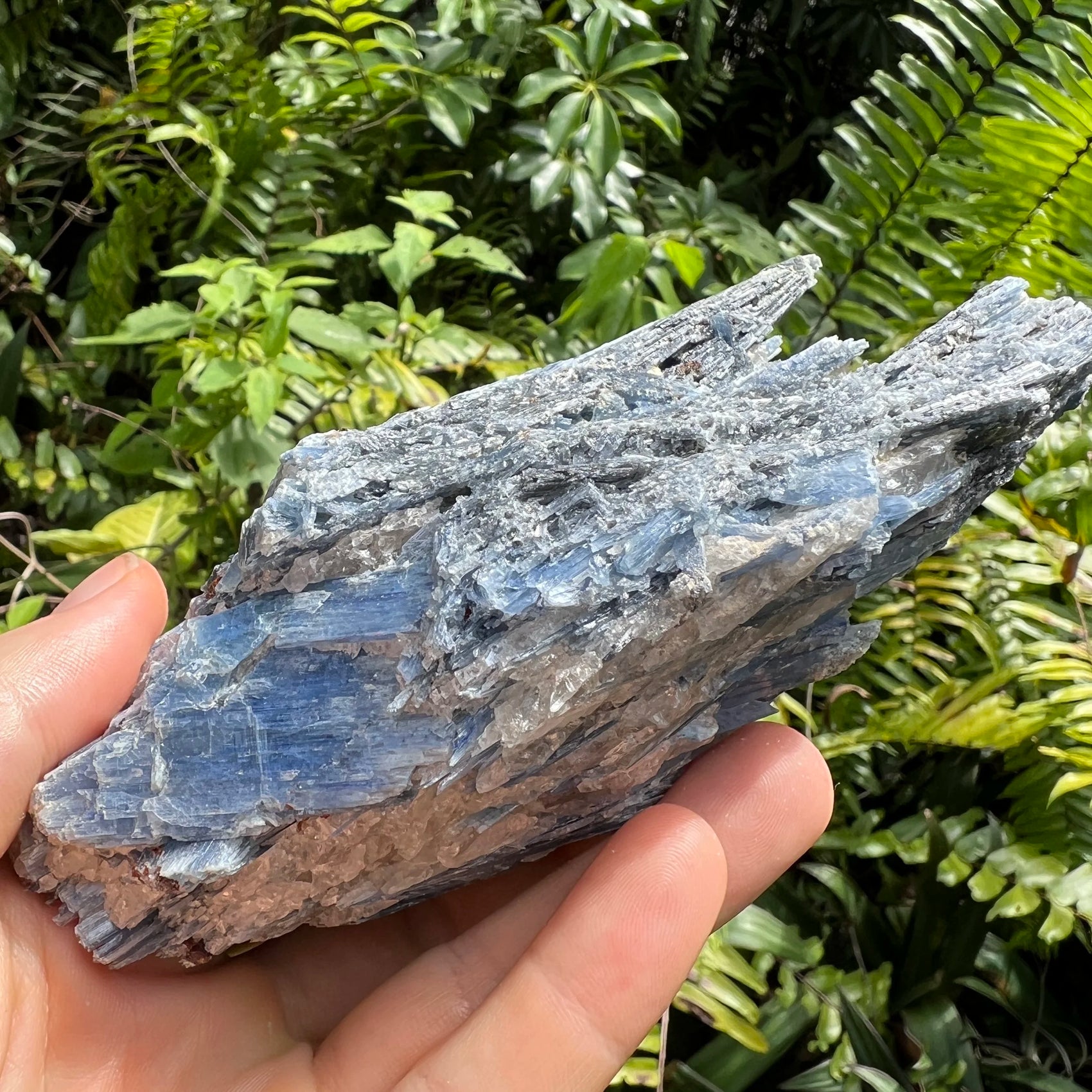 Set against a soft backdrop is a Blue Kyanite specimen, from Minas Gerais, Brazil, traditionally used for Intuition, shown for proportion against the hand.