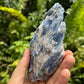 Detail shot of Grade AA Blue Kyanite cluster under natural light