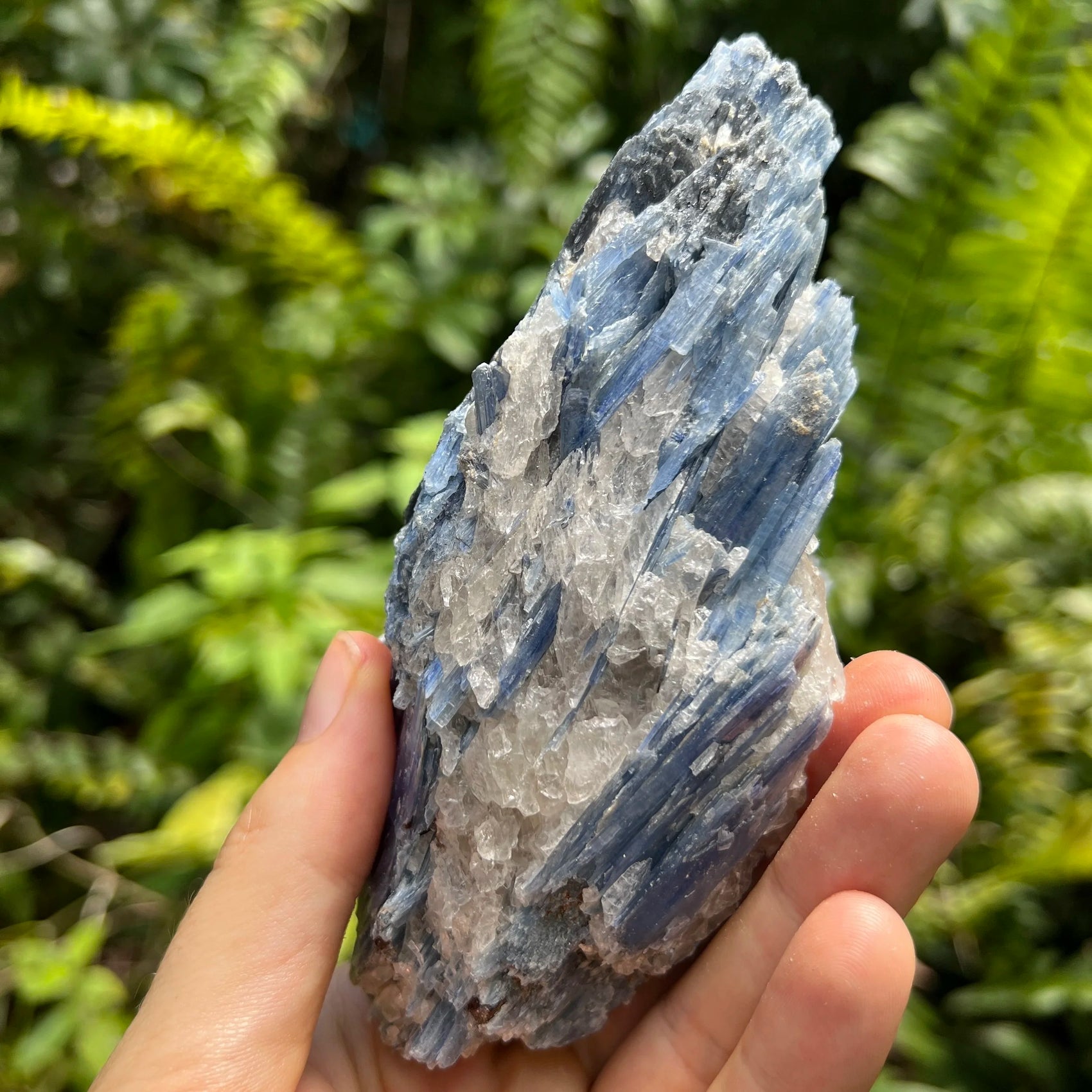 Detail shot of Grade AA Blue Kyanite cluster under natural light