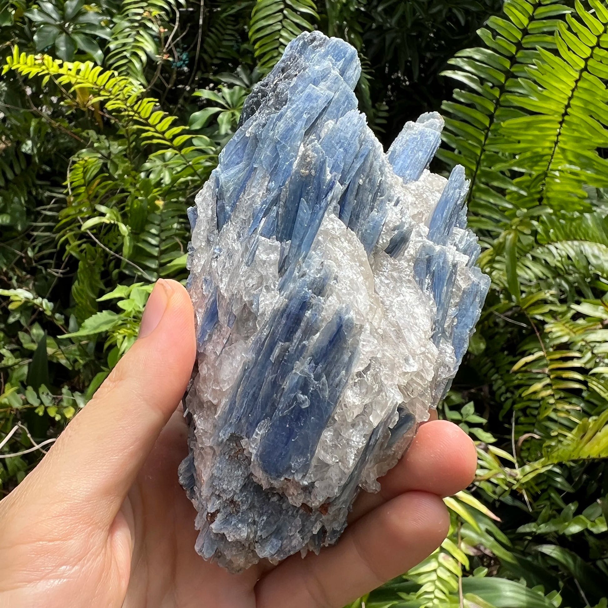 Full profile of Grade AA Blue Kyanite cluster ready to ship from Beyond Bohemian