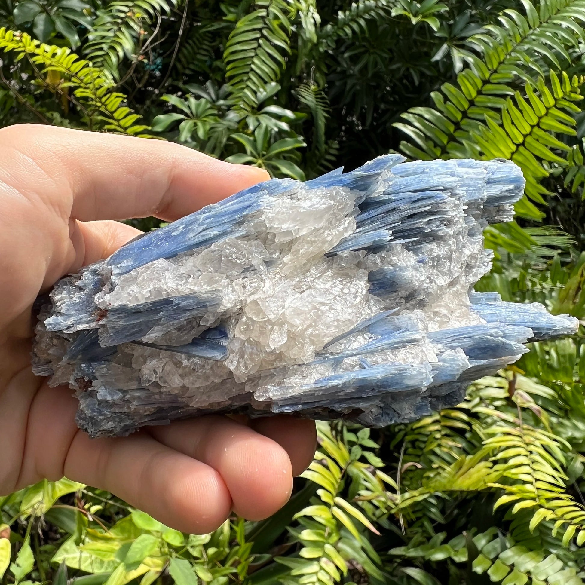 Back view of Grade AA Blue Kyanite cluster showing natural surface