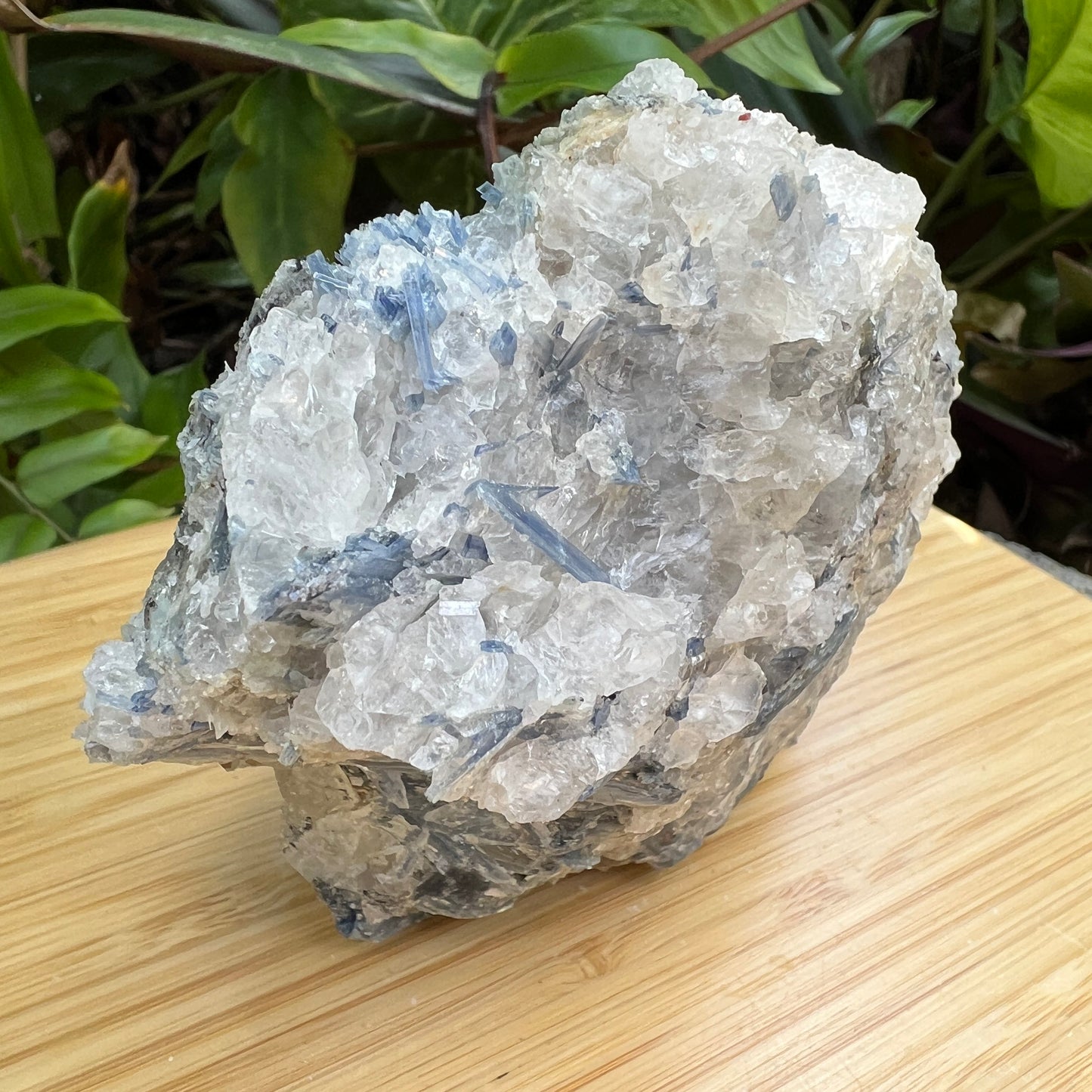 Top-down shot of Blue Kyanite specimen, linked to Confidence and Meditation, showing natural texture.