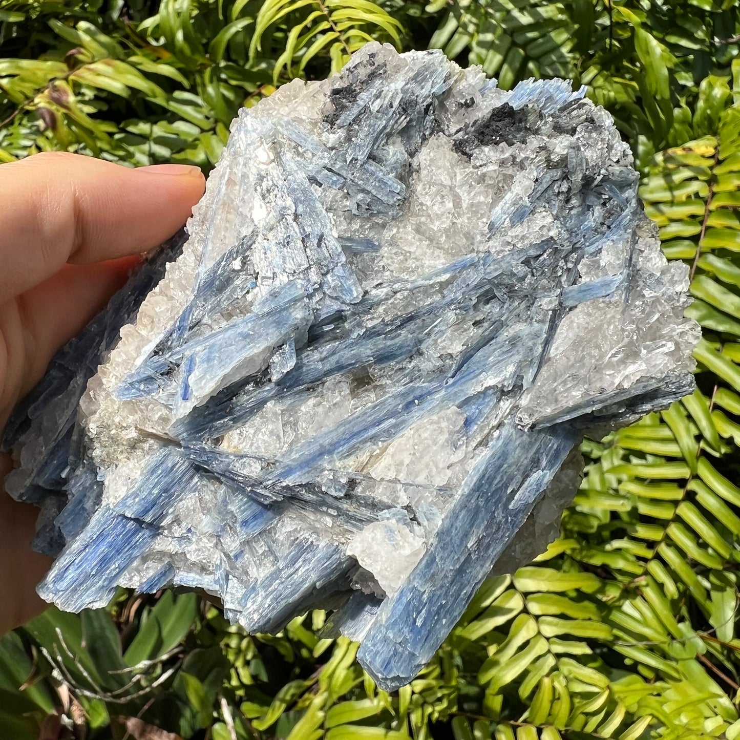 Full profile of Grade AA Blue Kyanite cluster ready to ship from Beyond Bohemian