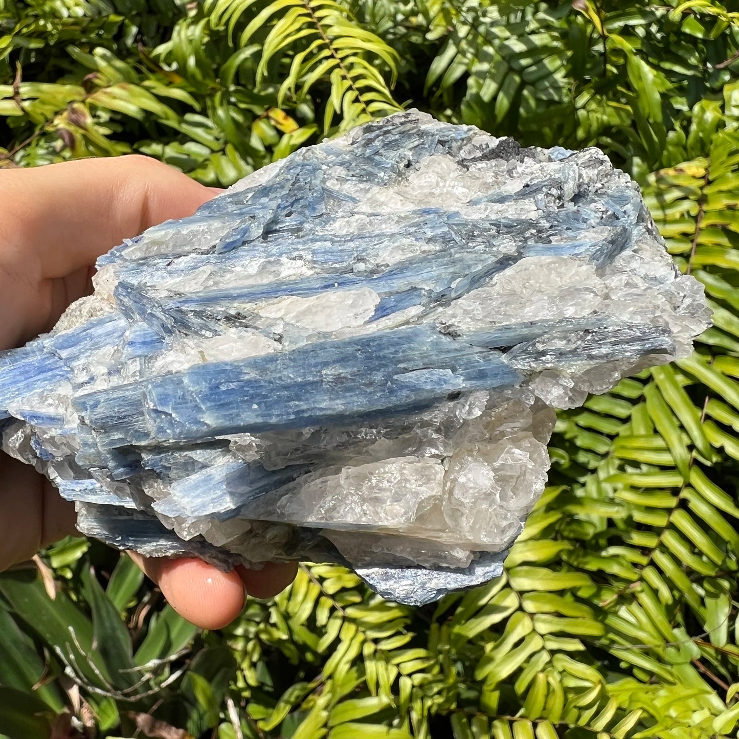 Back view of Grade AA Blue Kyanite cluster showing natural surface