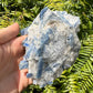 Field-of-view of Blue Kyanite specimen, from Minas Gerais, Brazil, in the warmth of daylight.
