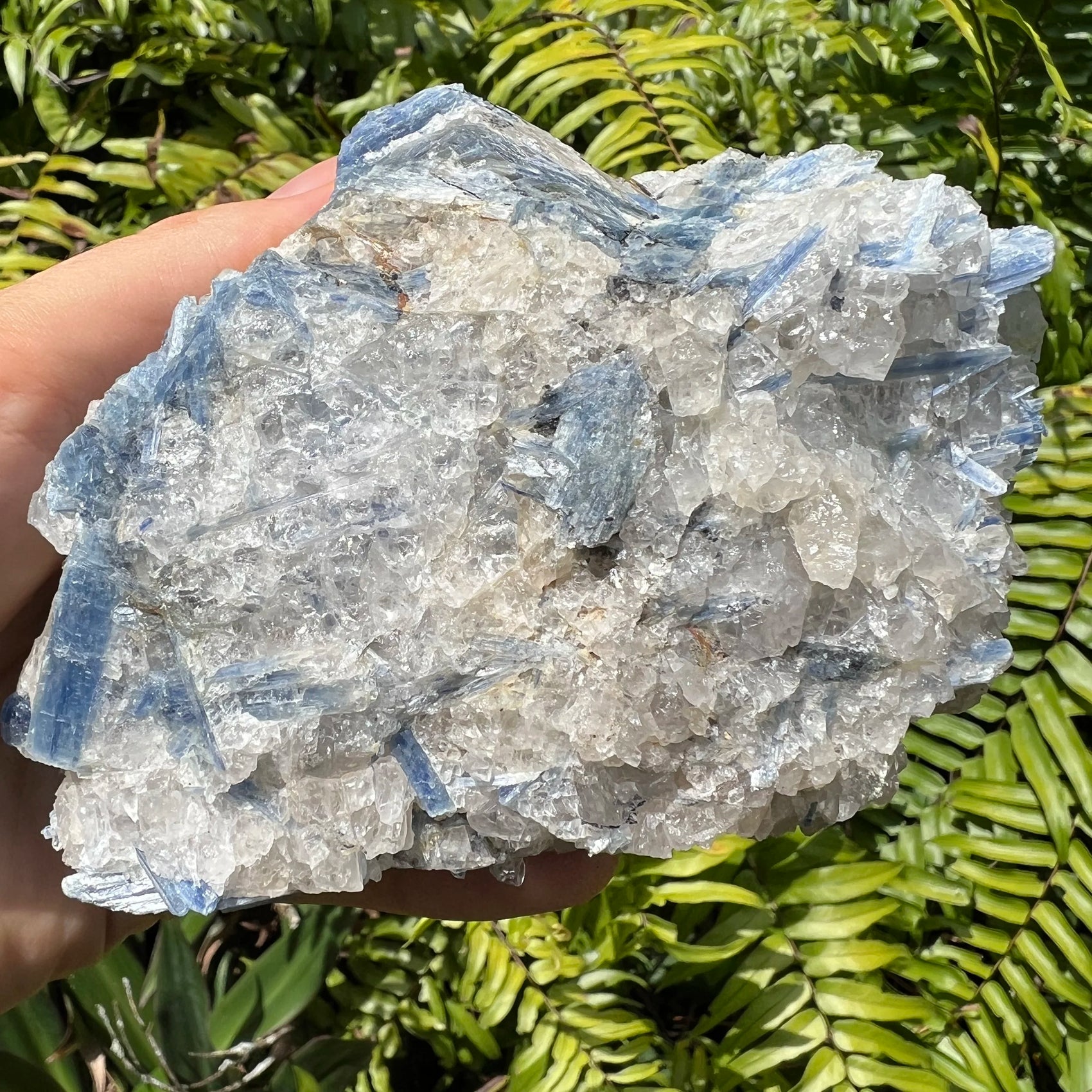 Detail shot of Grade AA Blue Kyanite cluster under natural light