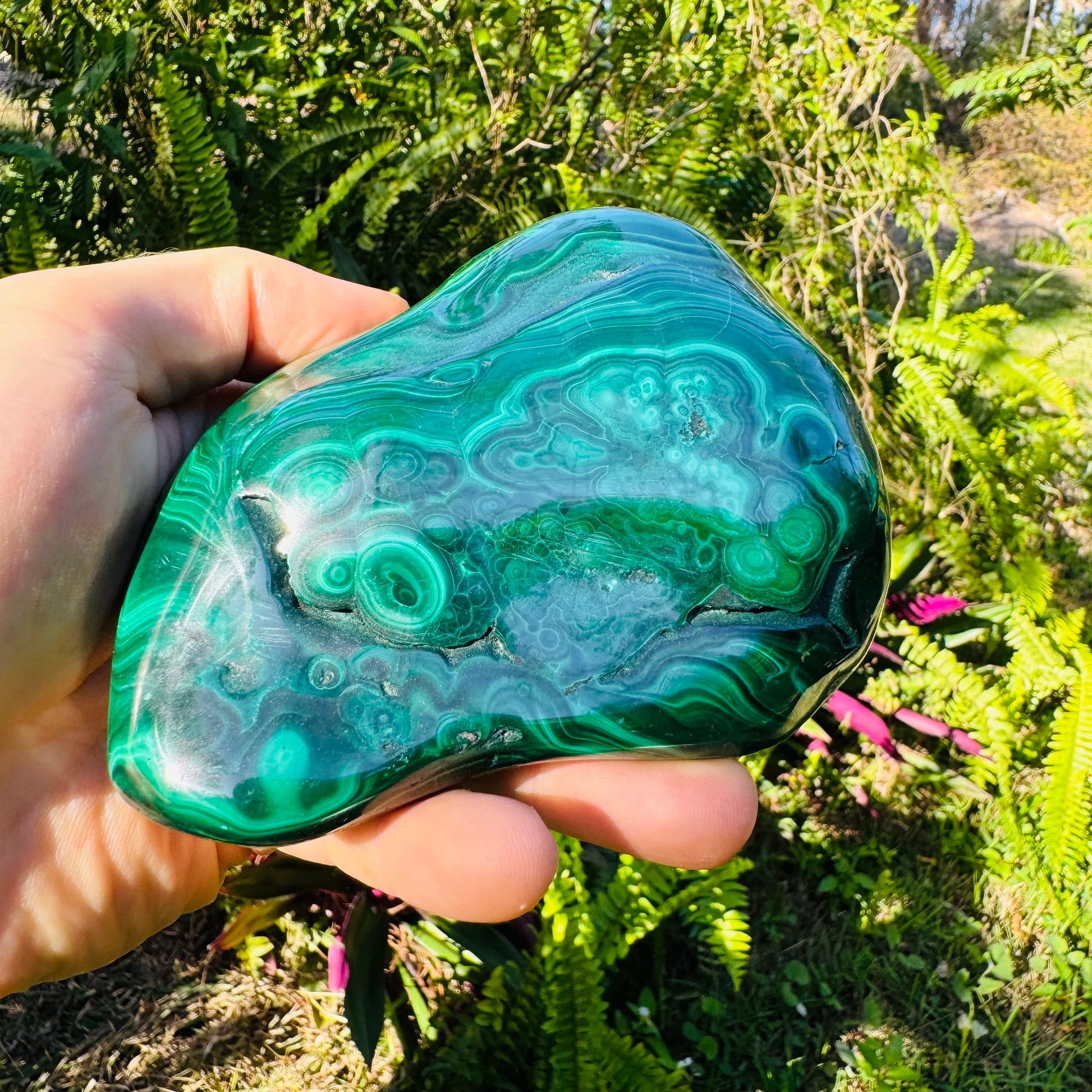 Palm-scale view of one Malachite specimen for scale, Democratic Republic of the Congo-sourced, from Haut-Katanga.