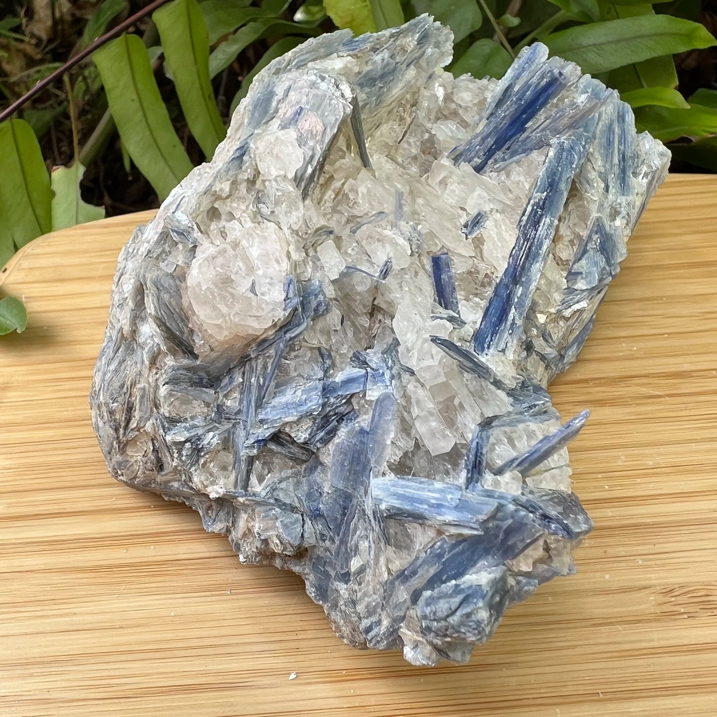 Detail shot showing Blue Kyanite specimen, showing characteristic color, from Brazil.