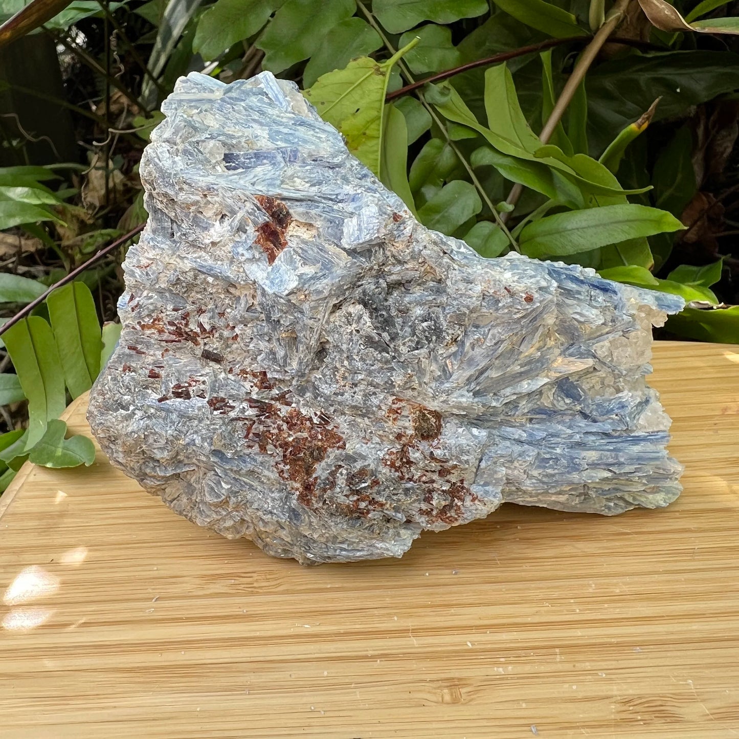 Back view of Blue Kyanite specimen, showing raw matrix, from Brazil.