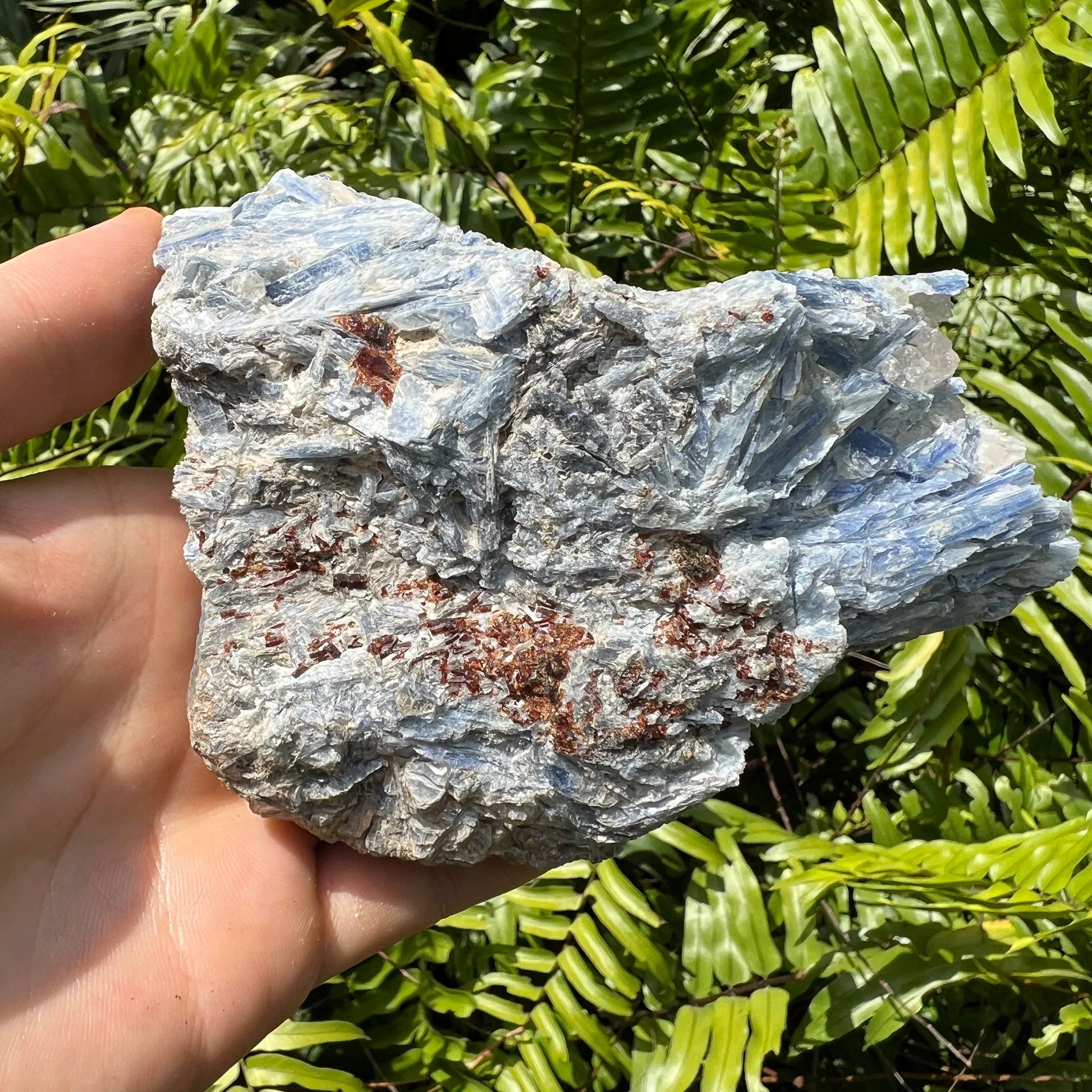 Full profile of Grade AA Blue Kyanite cluster ready to ship from Beyond Bohemian