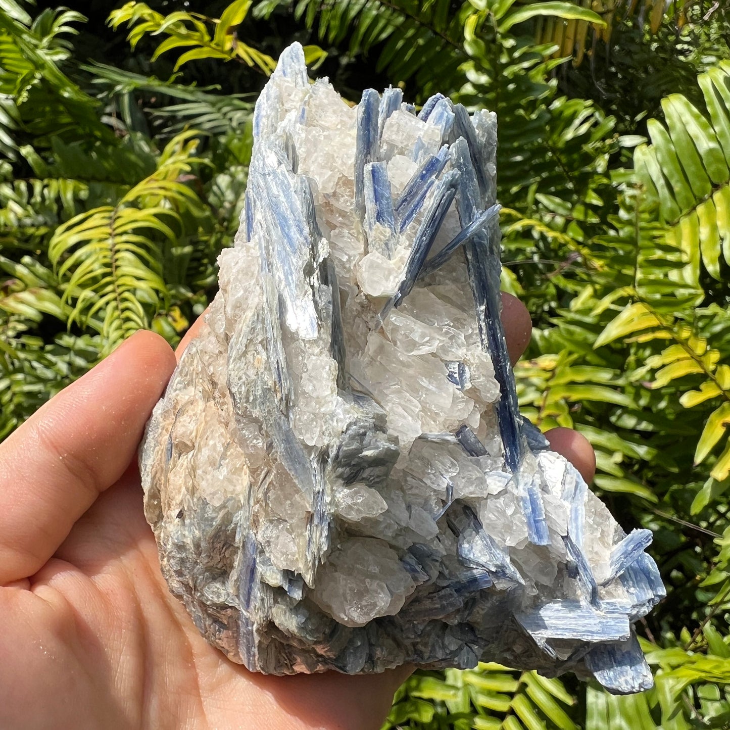 Quiet study of Blue Kyanite specimen, from Minas Gerais, Brazil, often kept for Confidence, showing the piece in repose.