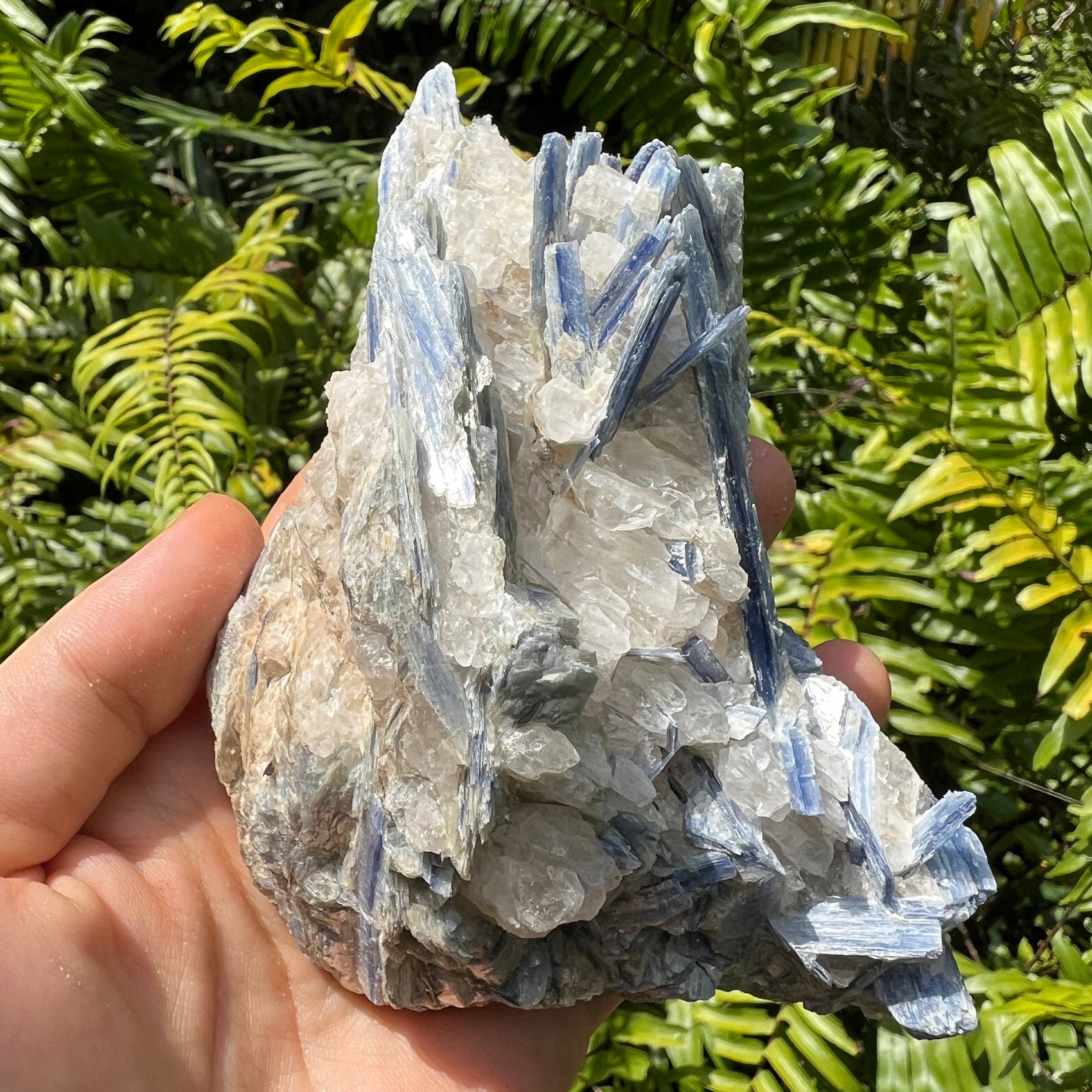 Quiet study of Blue Kyanite specimen, from Minas Gerais, Brazil, often kept for Confidence, showing the piece in repose.
